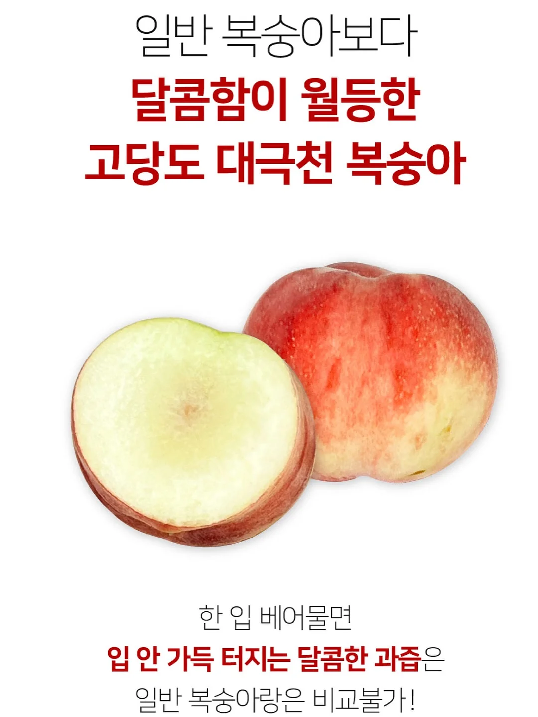 영상 관련 제품 10