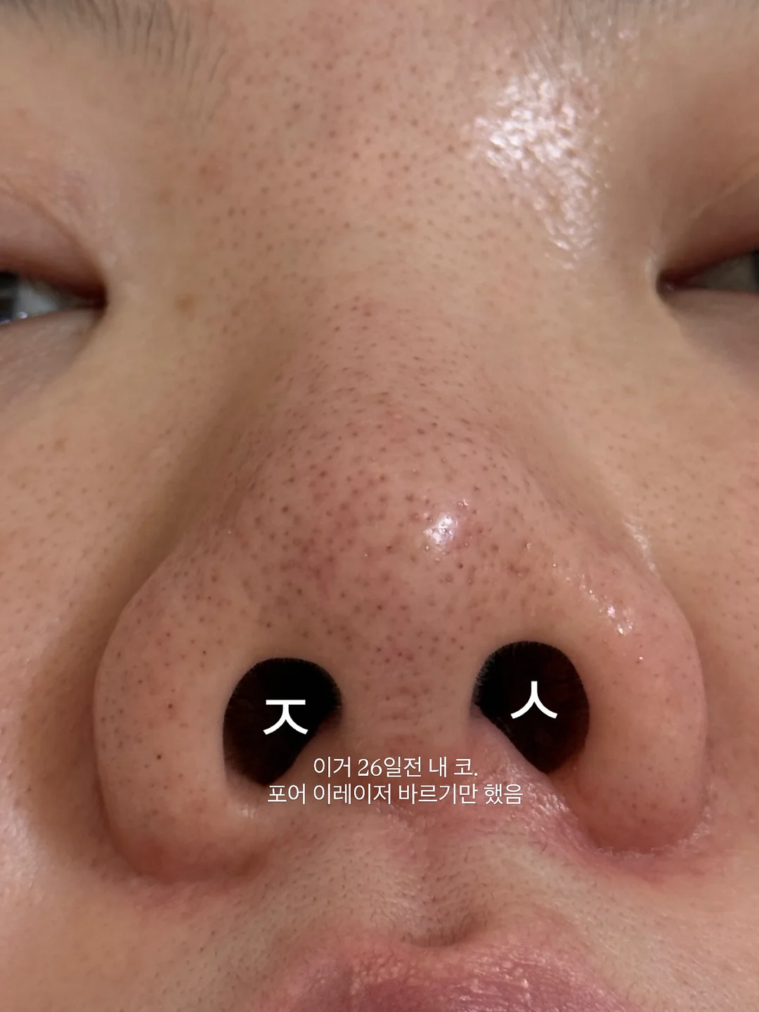 과일시루 16