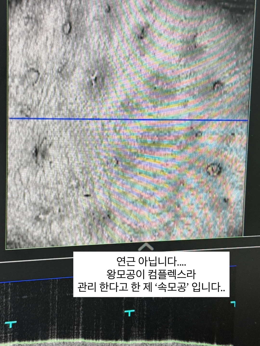 과일시루 4