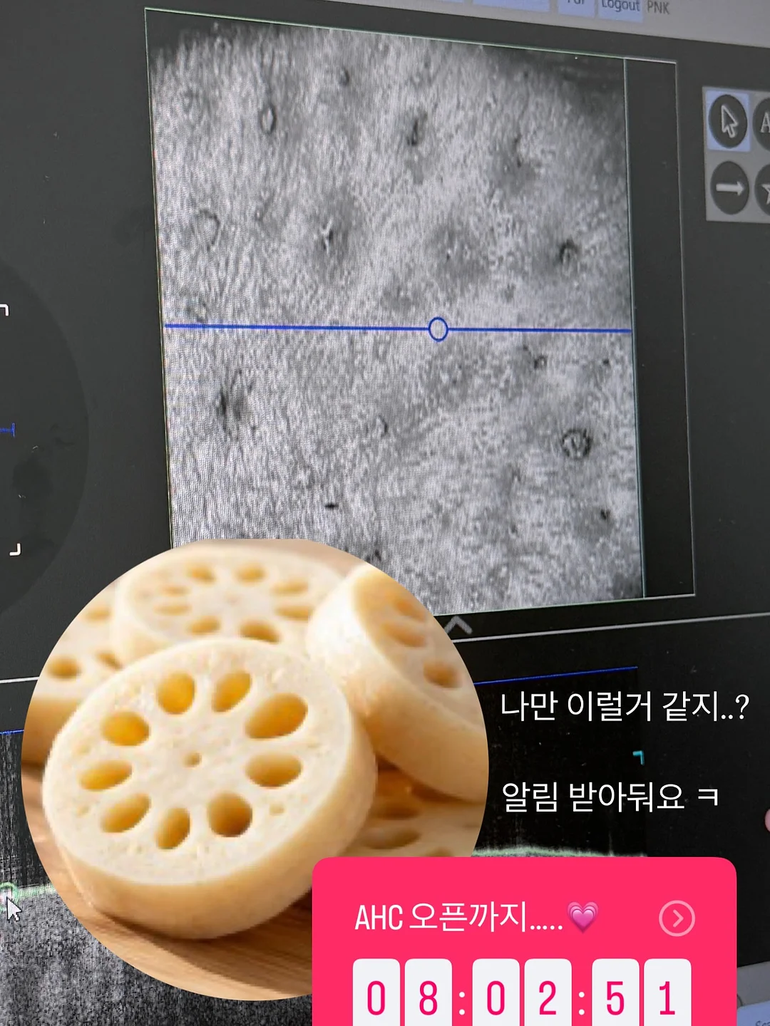 과일시루 5