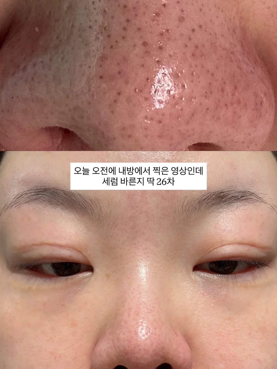 과일시루 9