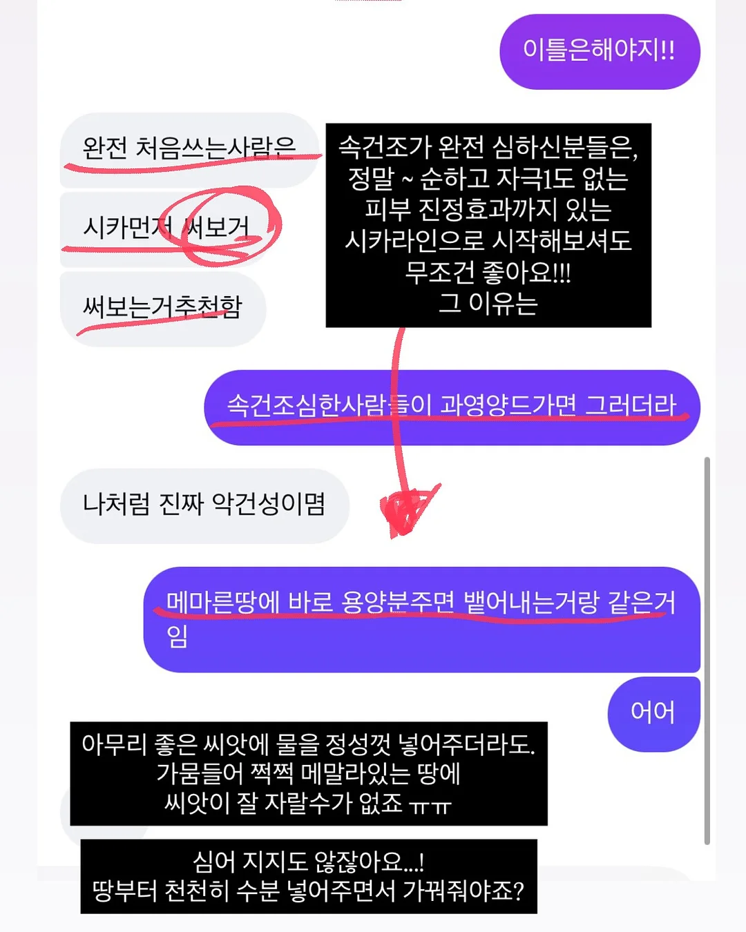가정의달 꽃 4