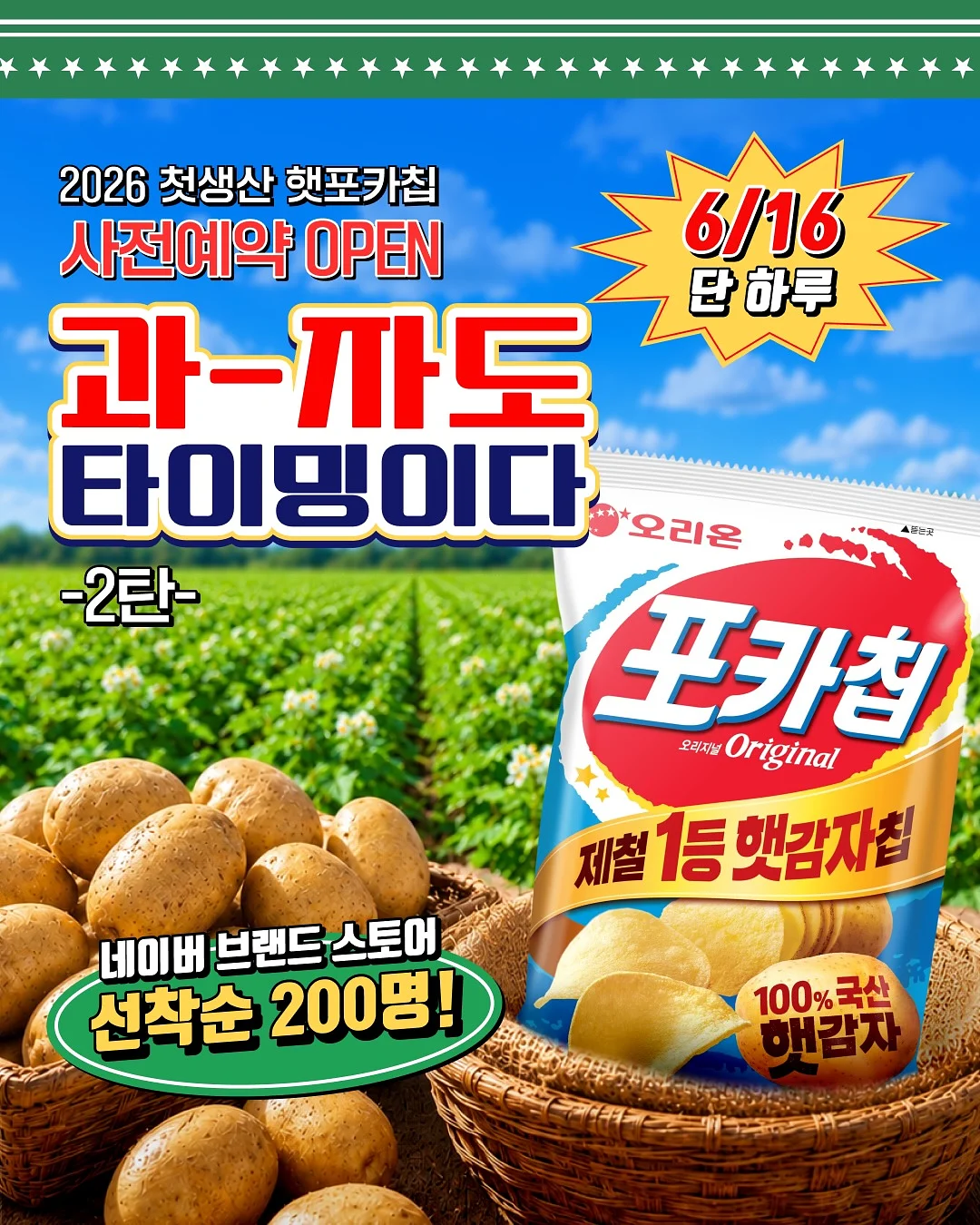 코튼 커튼 1