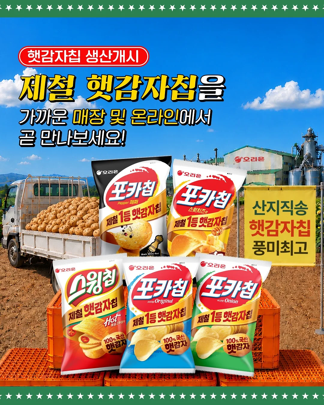 코튼 커튼 2
