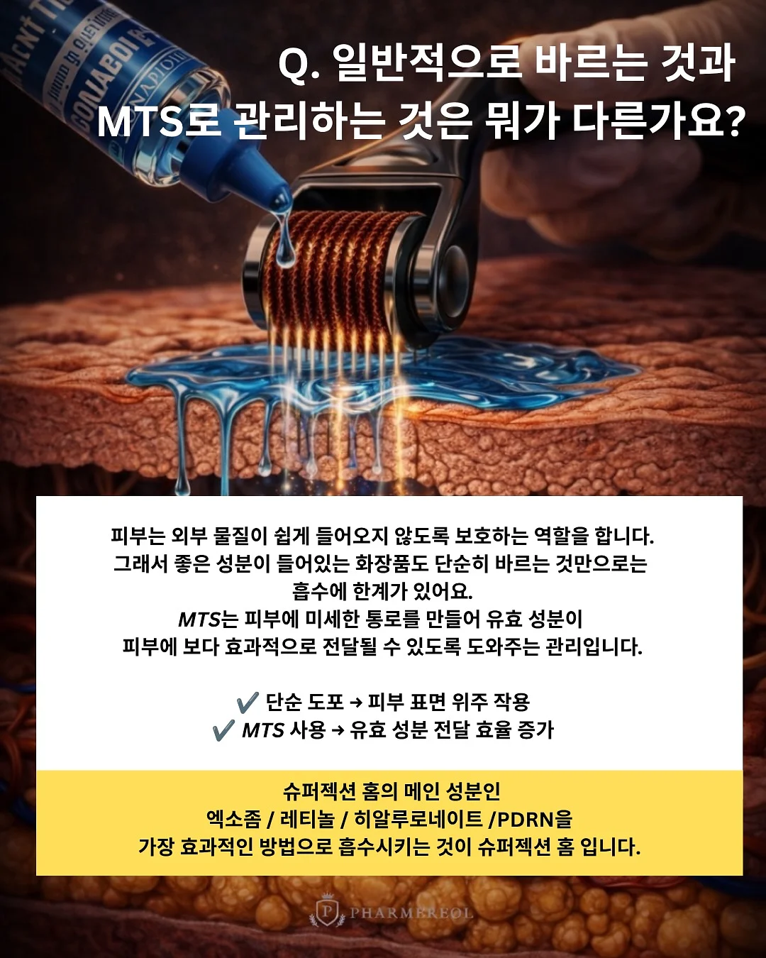 날씬 세트 & 호박 팬츠 4