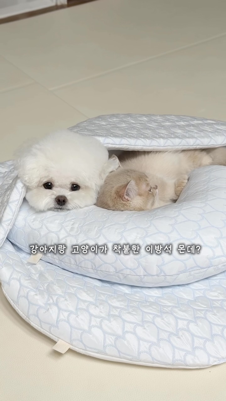 쫀쫀 밴딩 팬츠