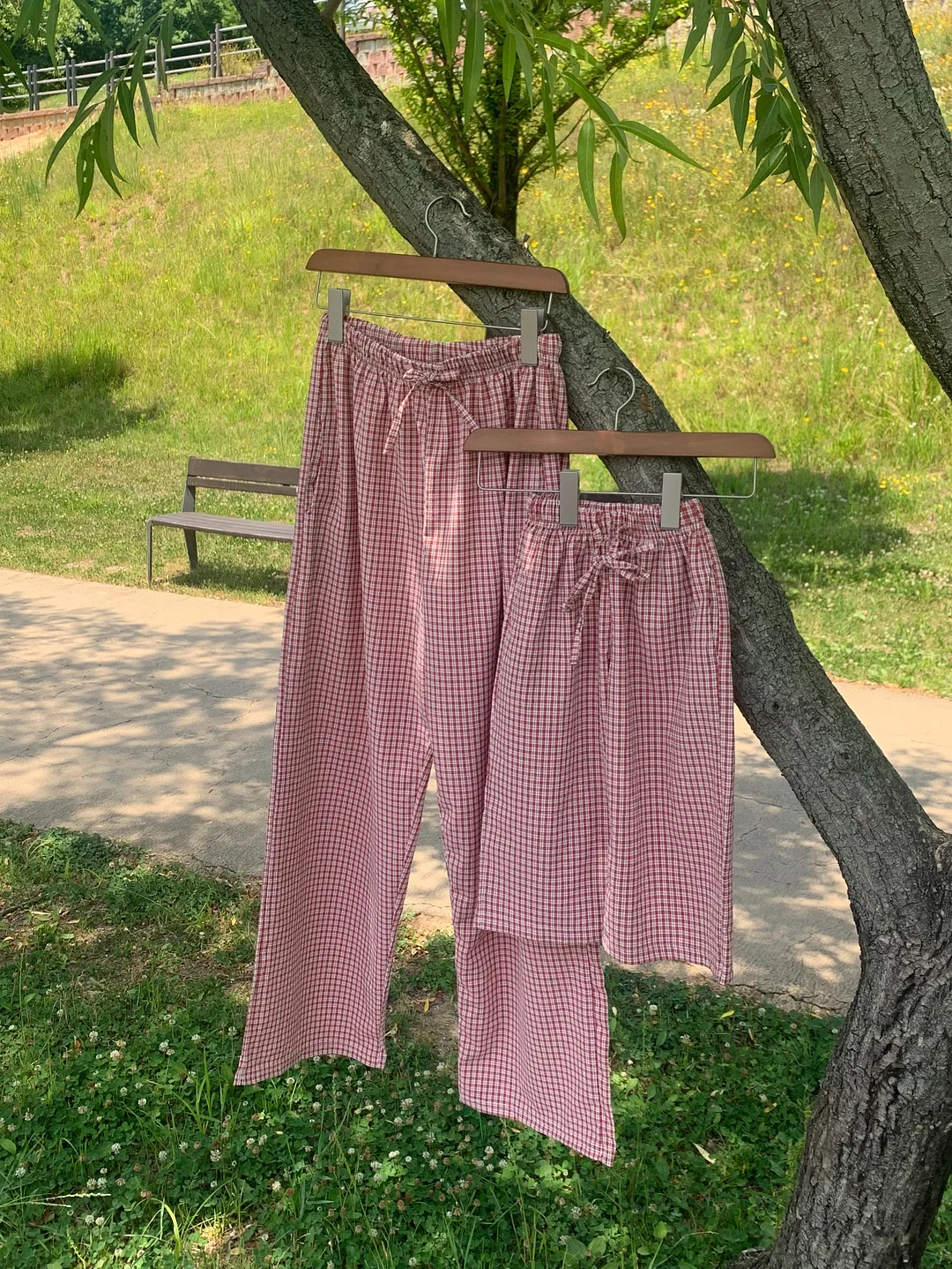 테일러 푸룬 곡물 발효 효소 2