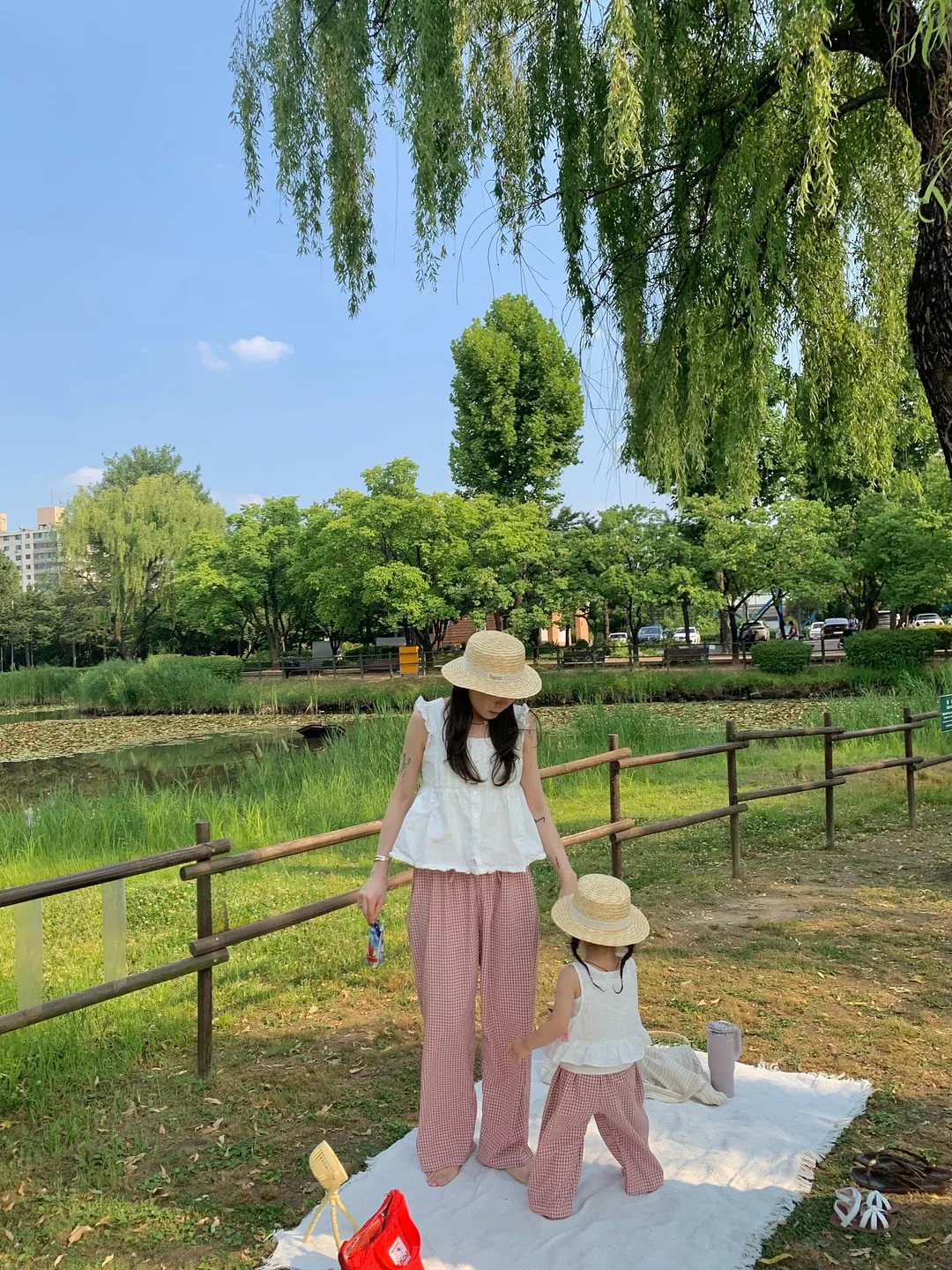 테일러 푸룬 곡물 발효 효소 6