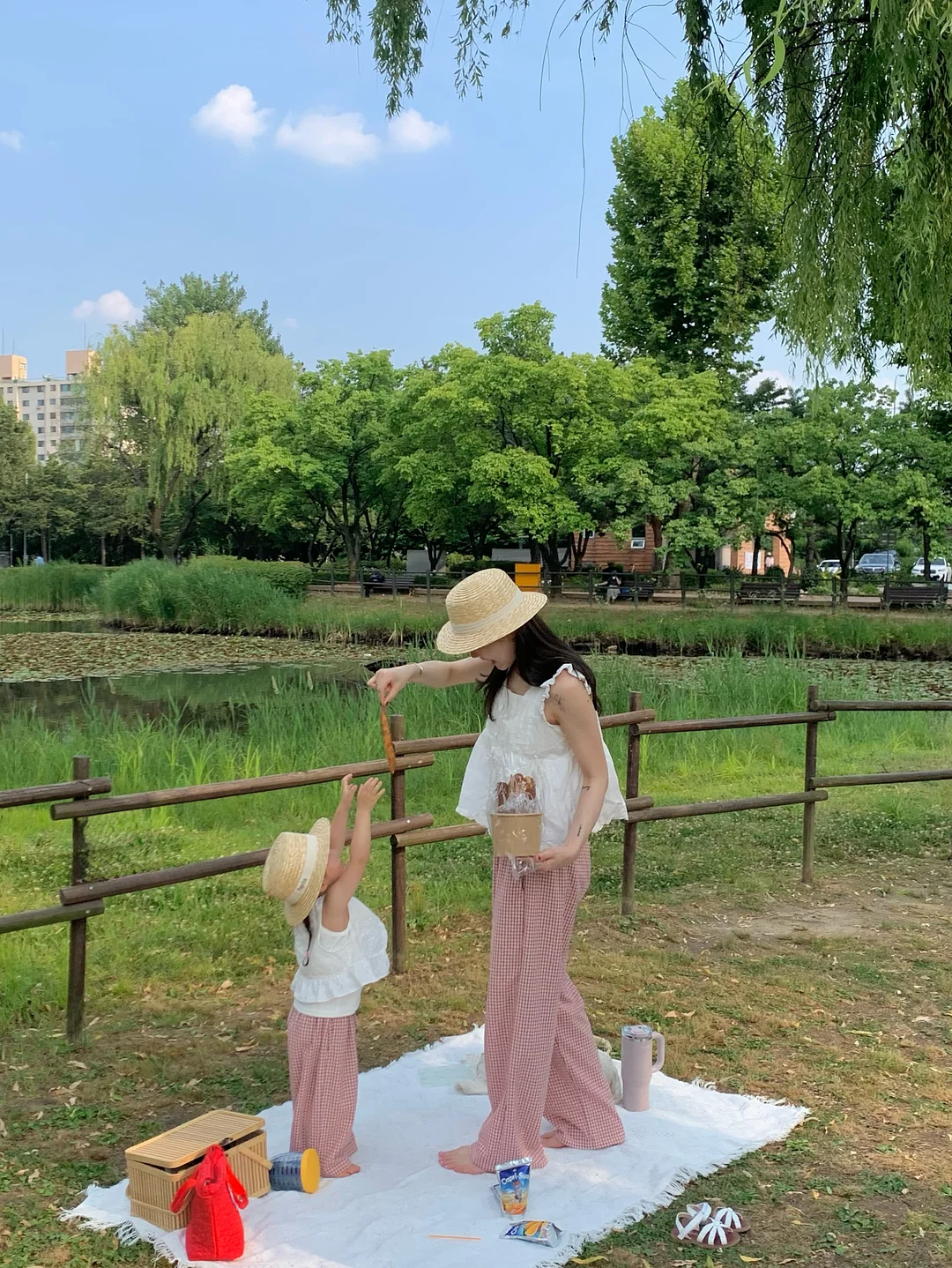 테일러 푸룬 곡물 발효 효소 9