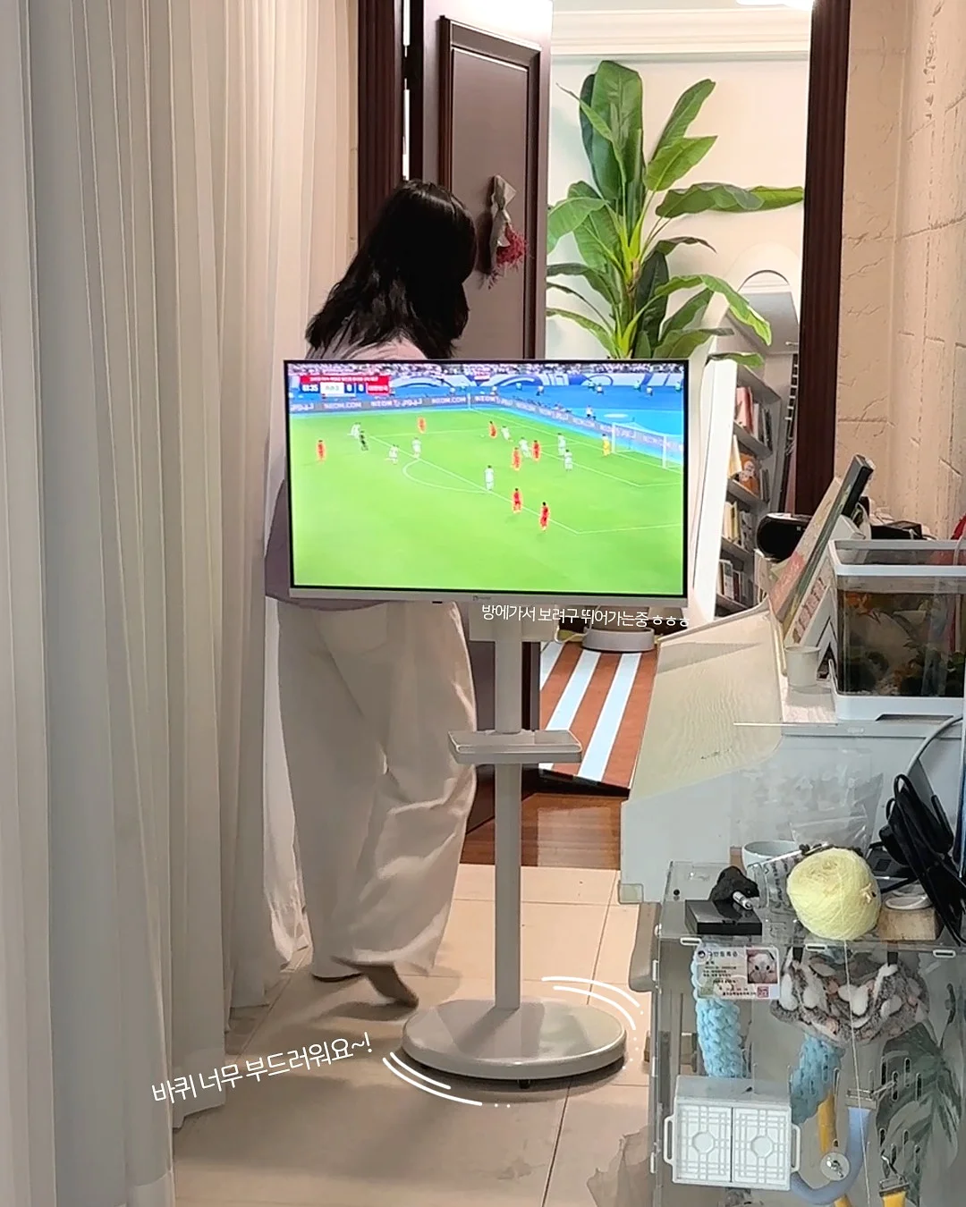 콤보눈썹 6