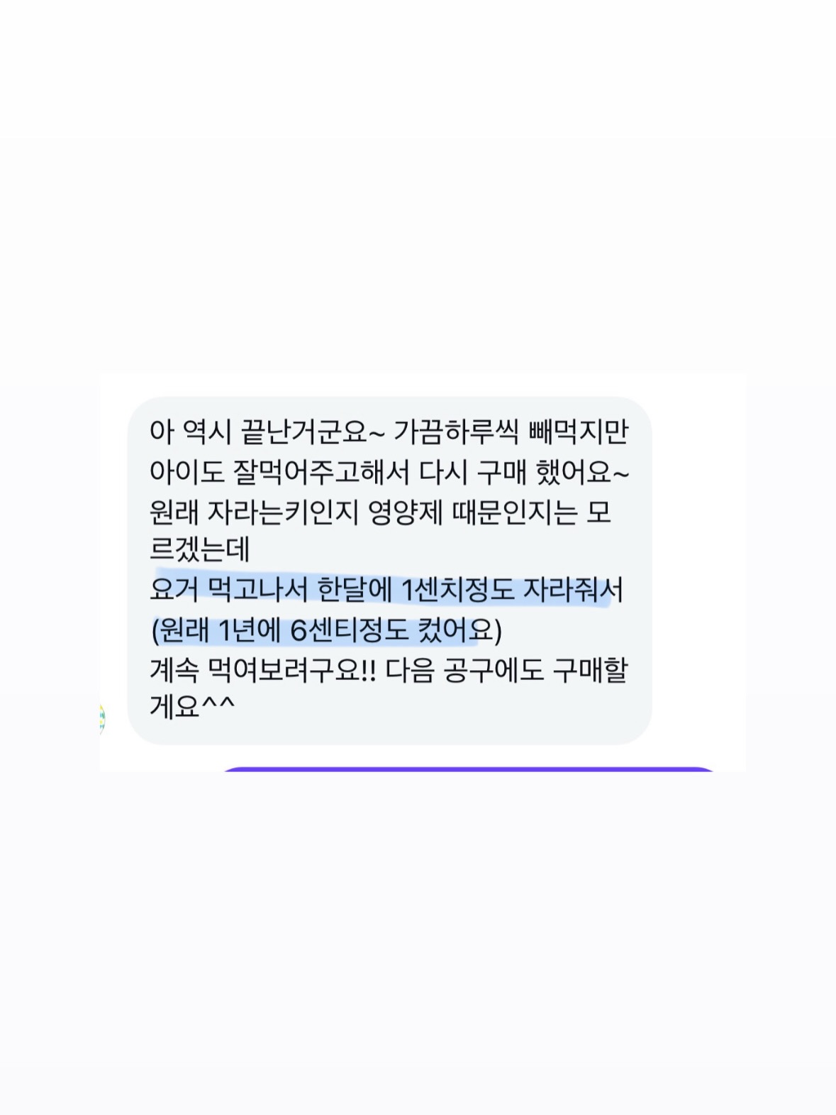 벨크로 12