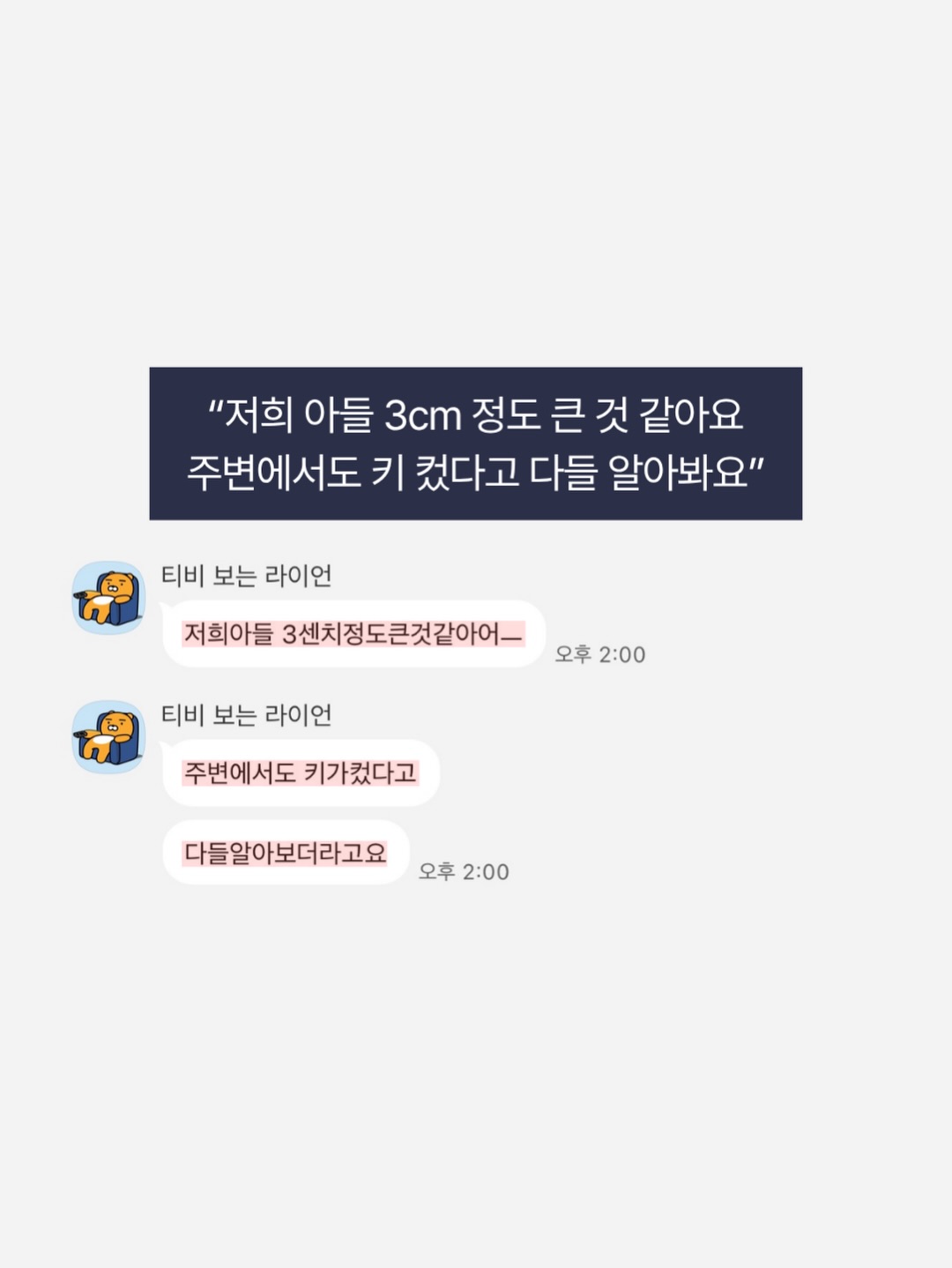벨크로 6