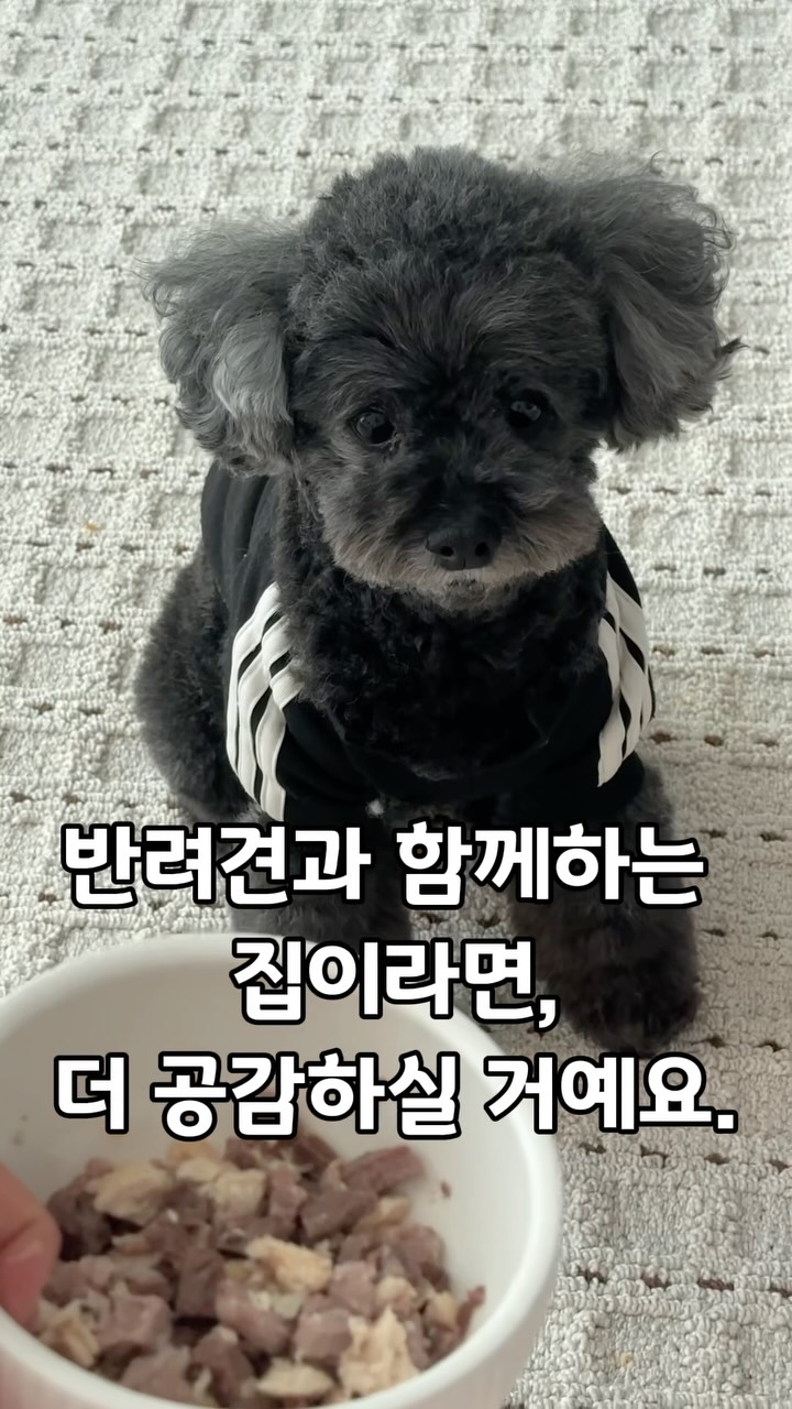 뮤즈 바니티