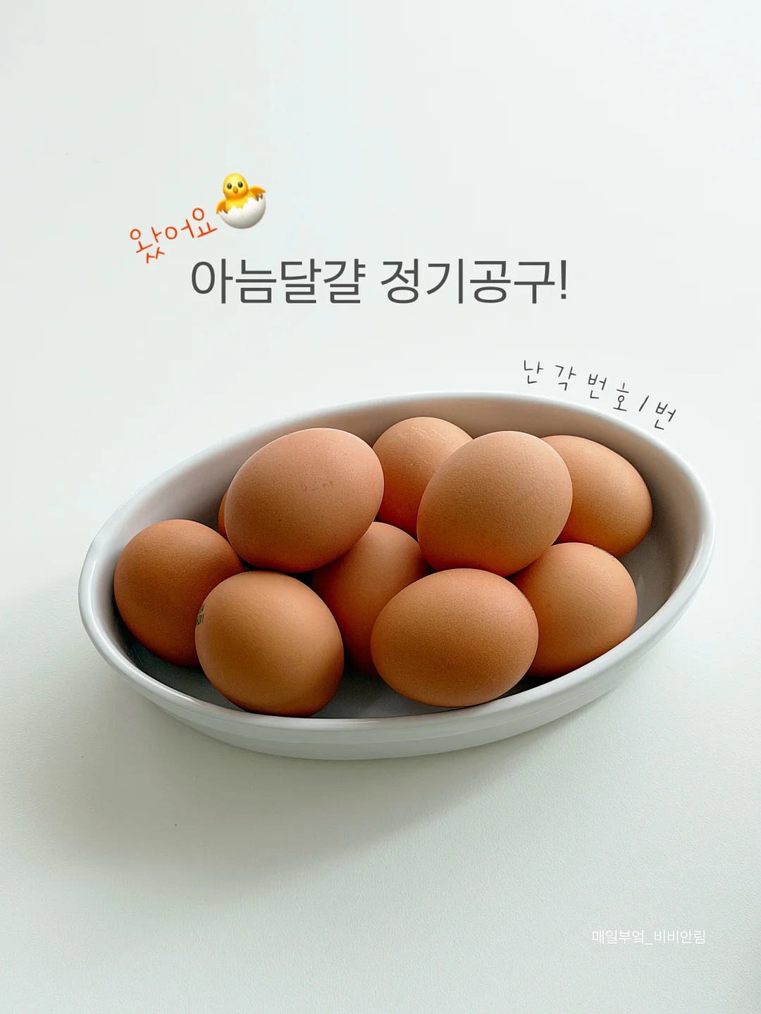 노스페이스 여름 카고팬츠 1