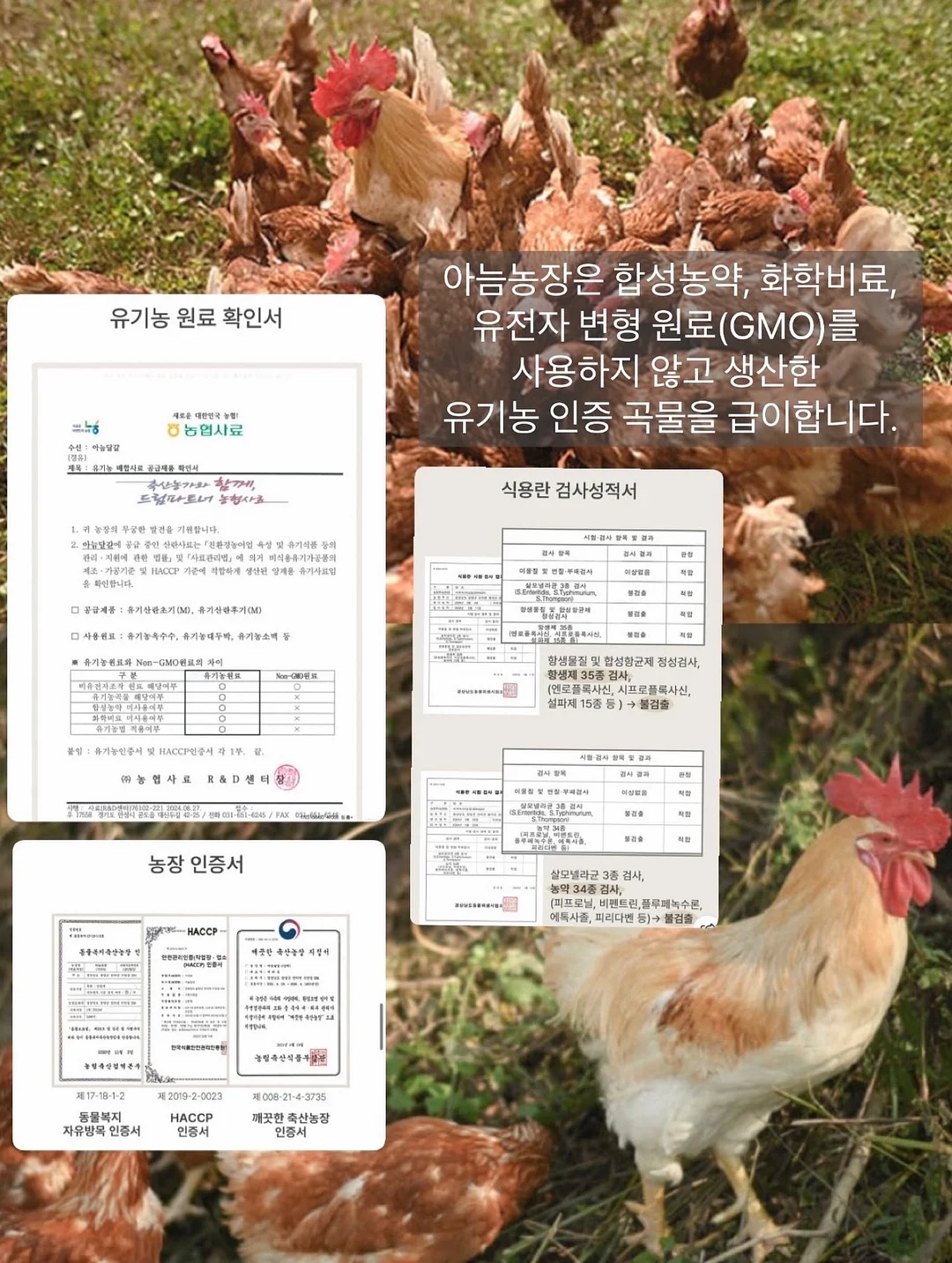 노스페이스 여름 카고팬츠 4
