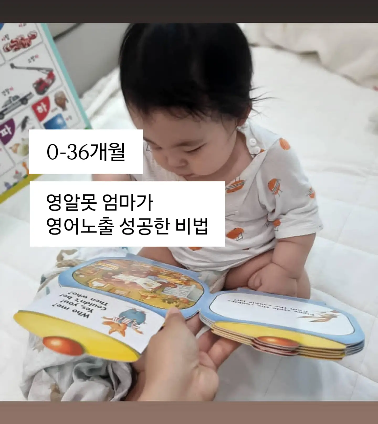 입문용 스쿠터 1