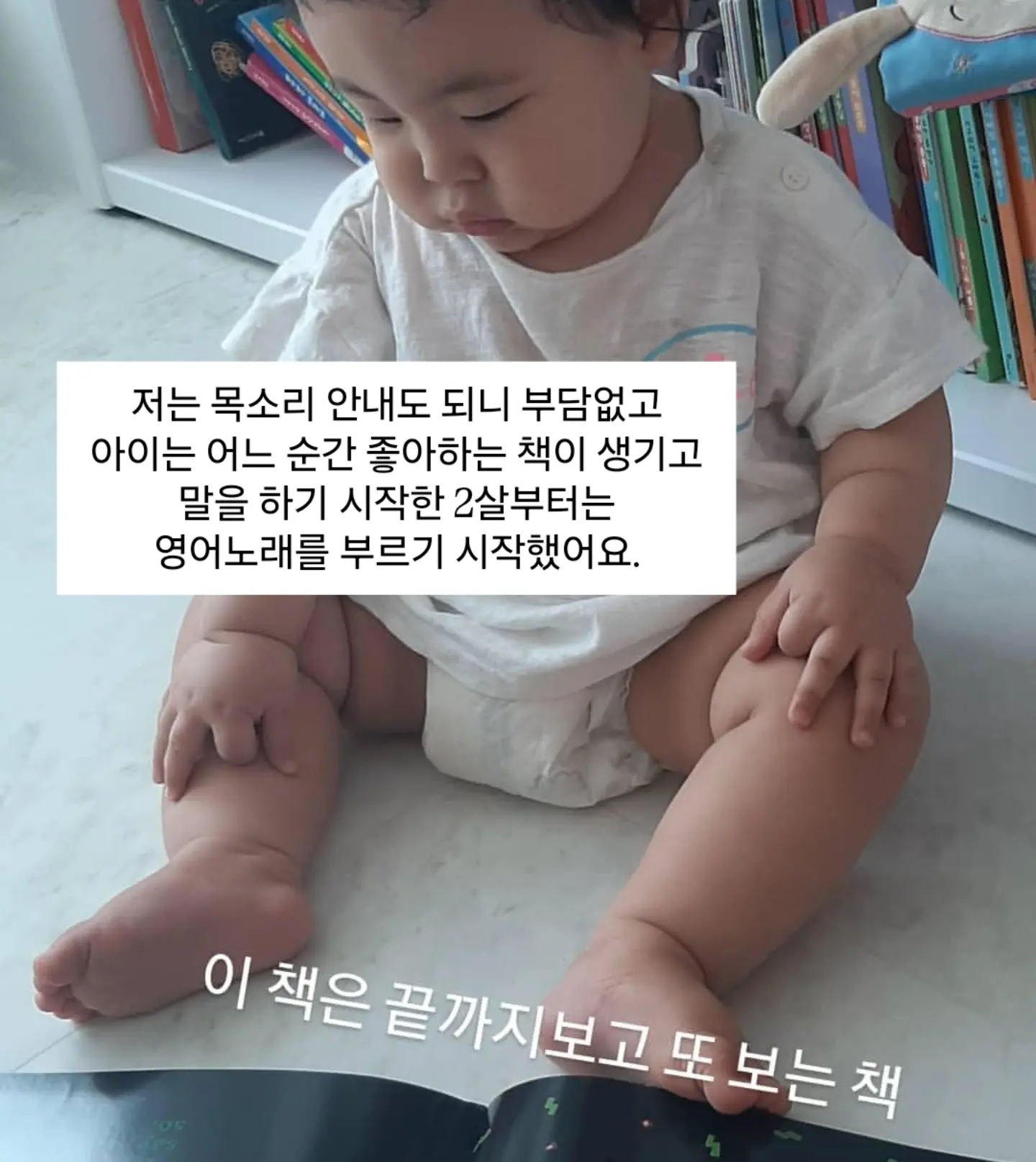 입문용 스쿠터 13