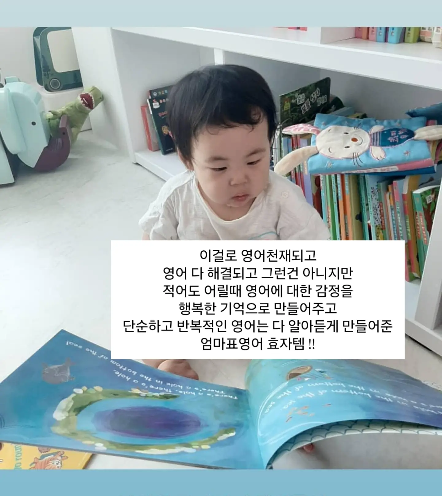 입문용 스쿠터 14
