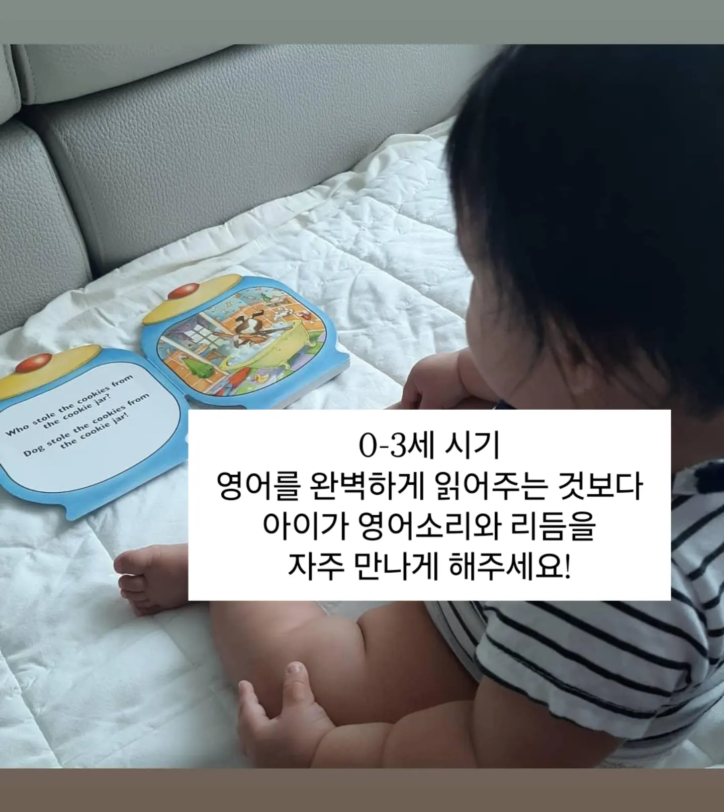 입문용 스쿠터 15