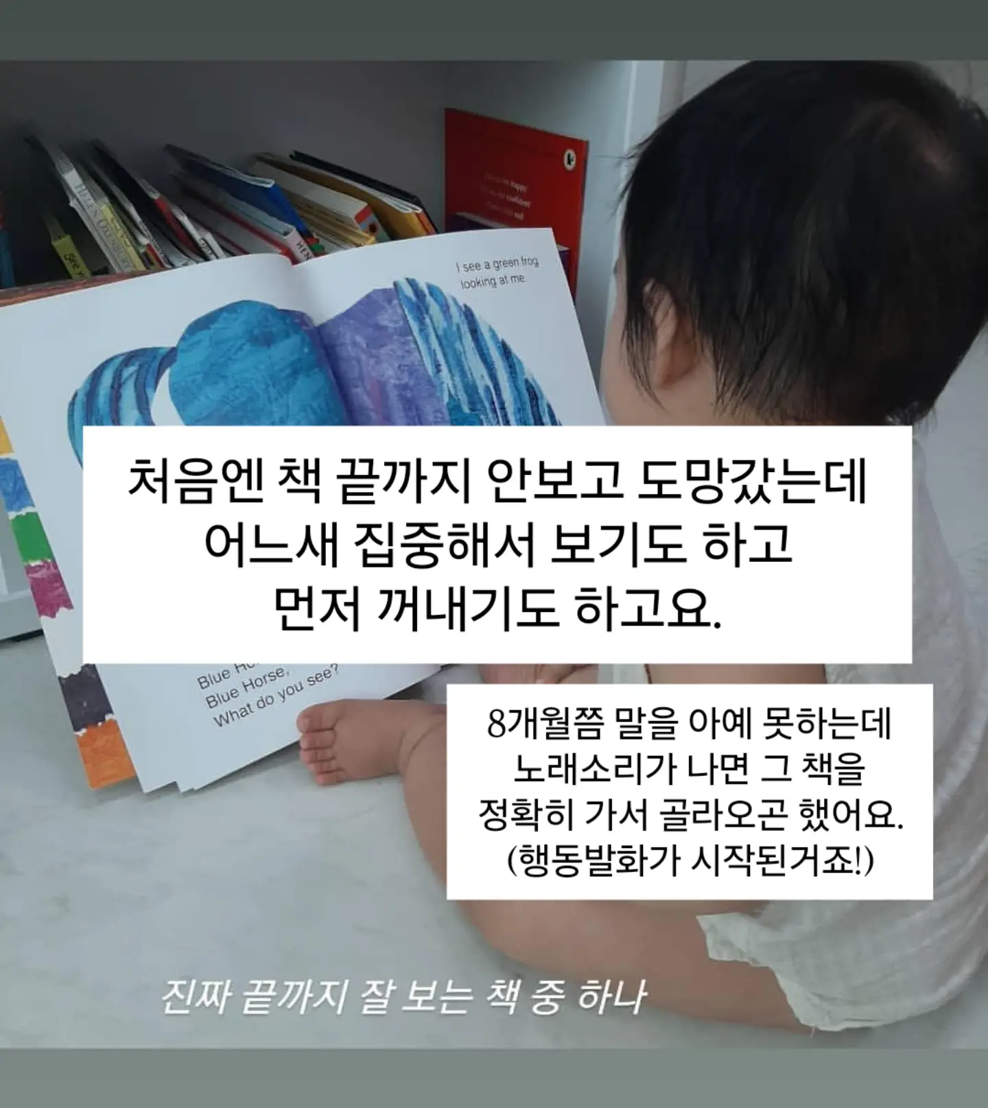 입문용 스쿠터 6