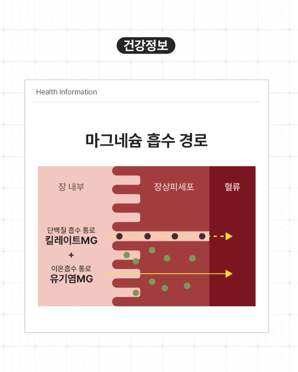 오썸플렉스 공유학교 농구A반 13