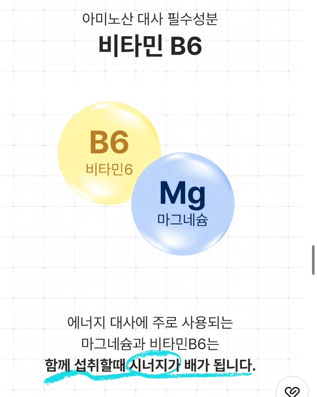 오썸플렉스 공유학교 농구A반 14