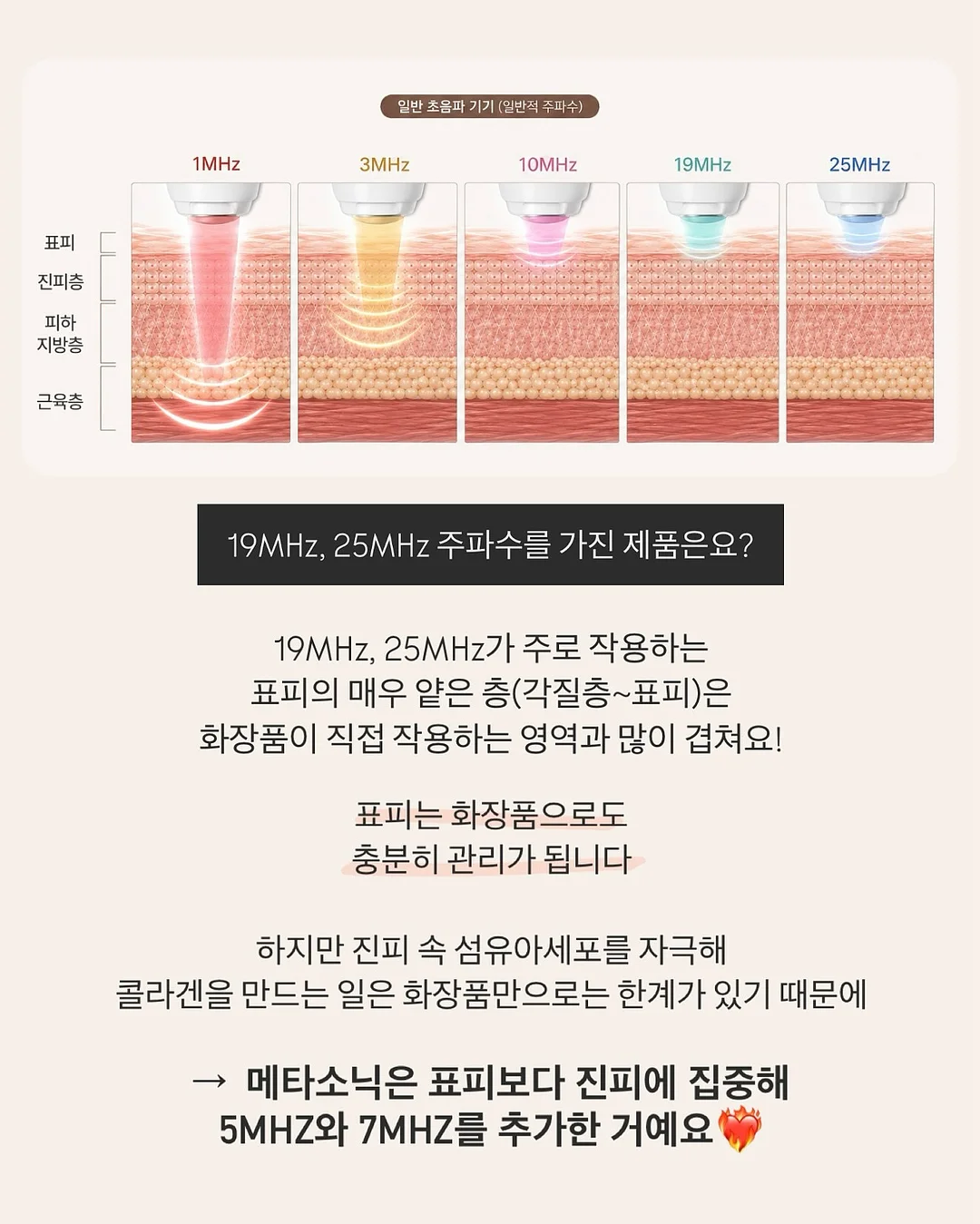 목련 파이 12