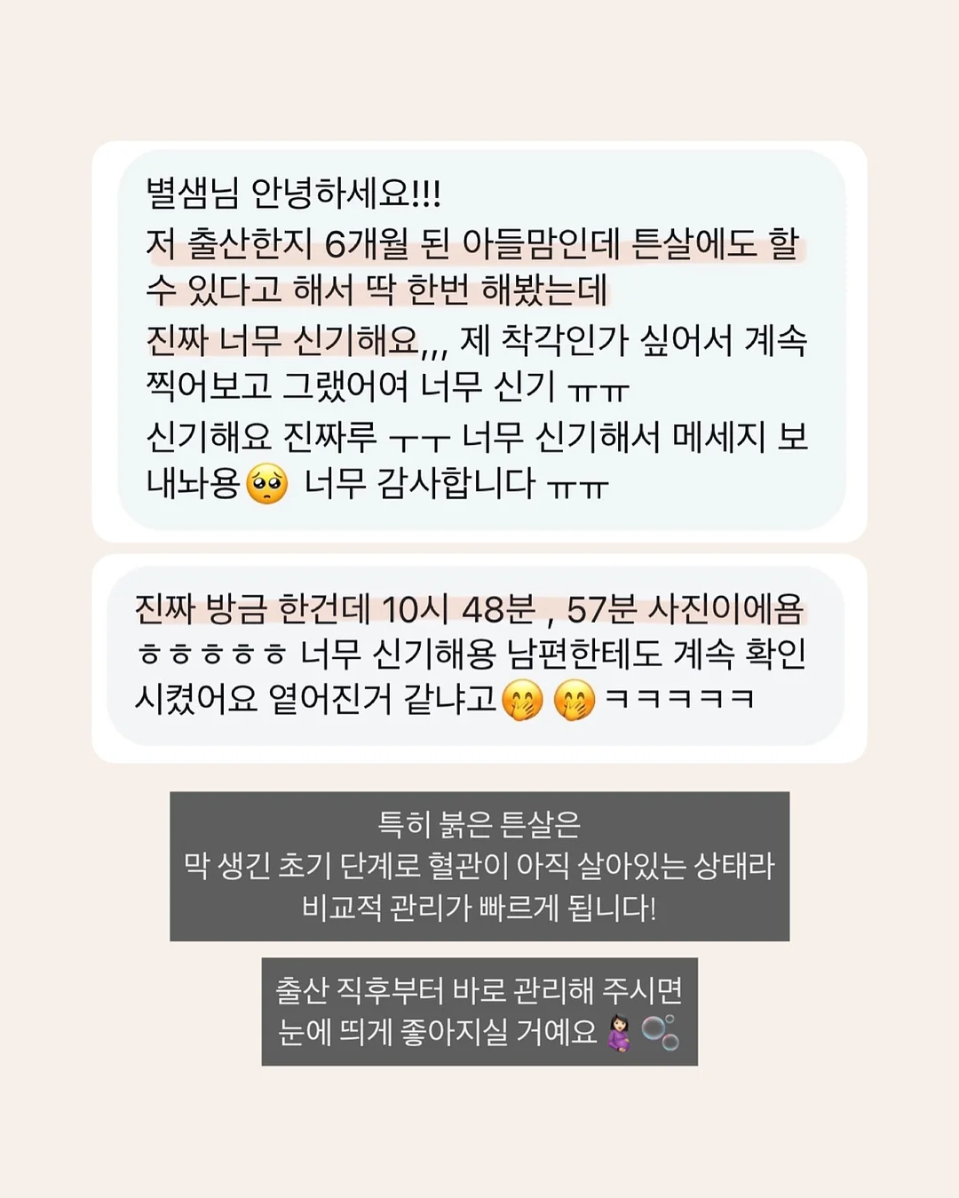 목련 파이 2