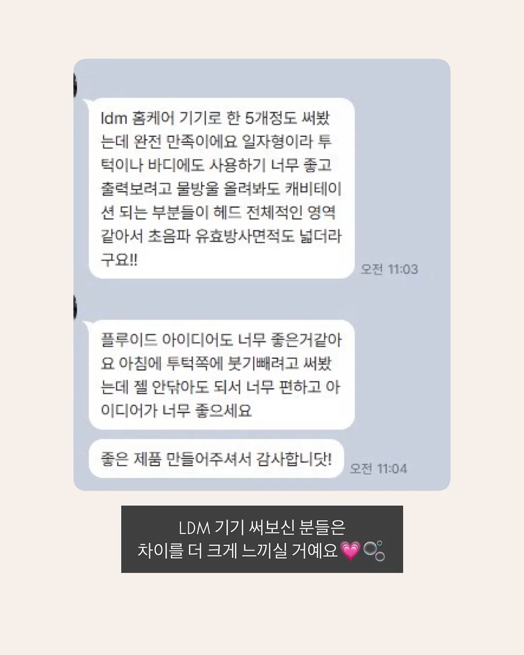 목련 파이 6
