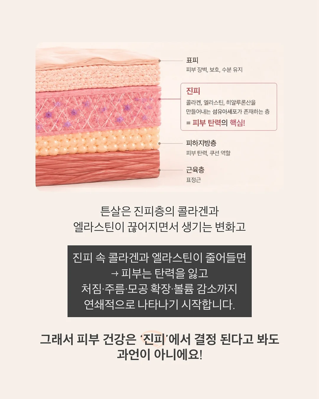 목련 파이 7