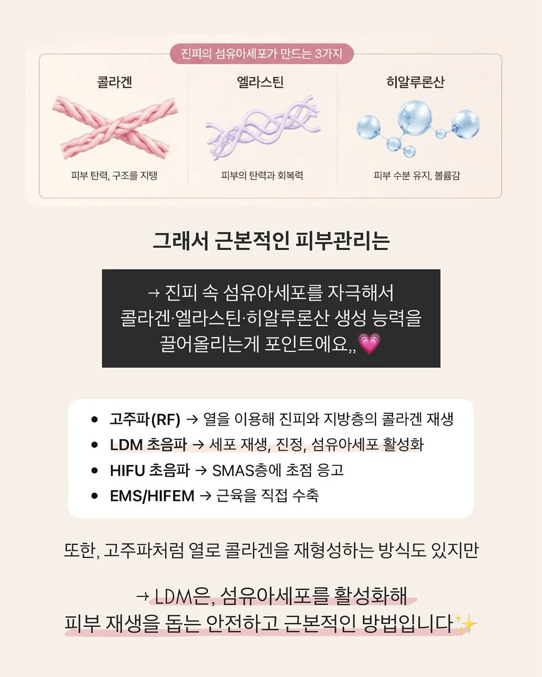 목련 파이 8