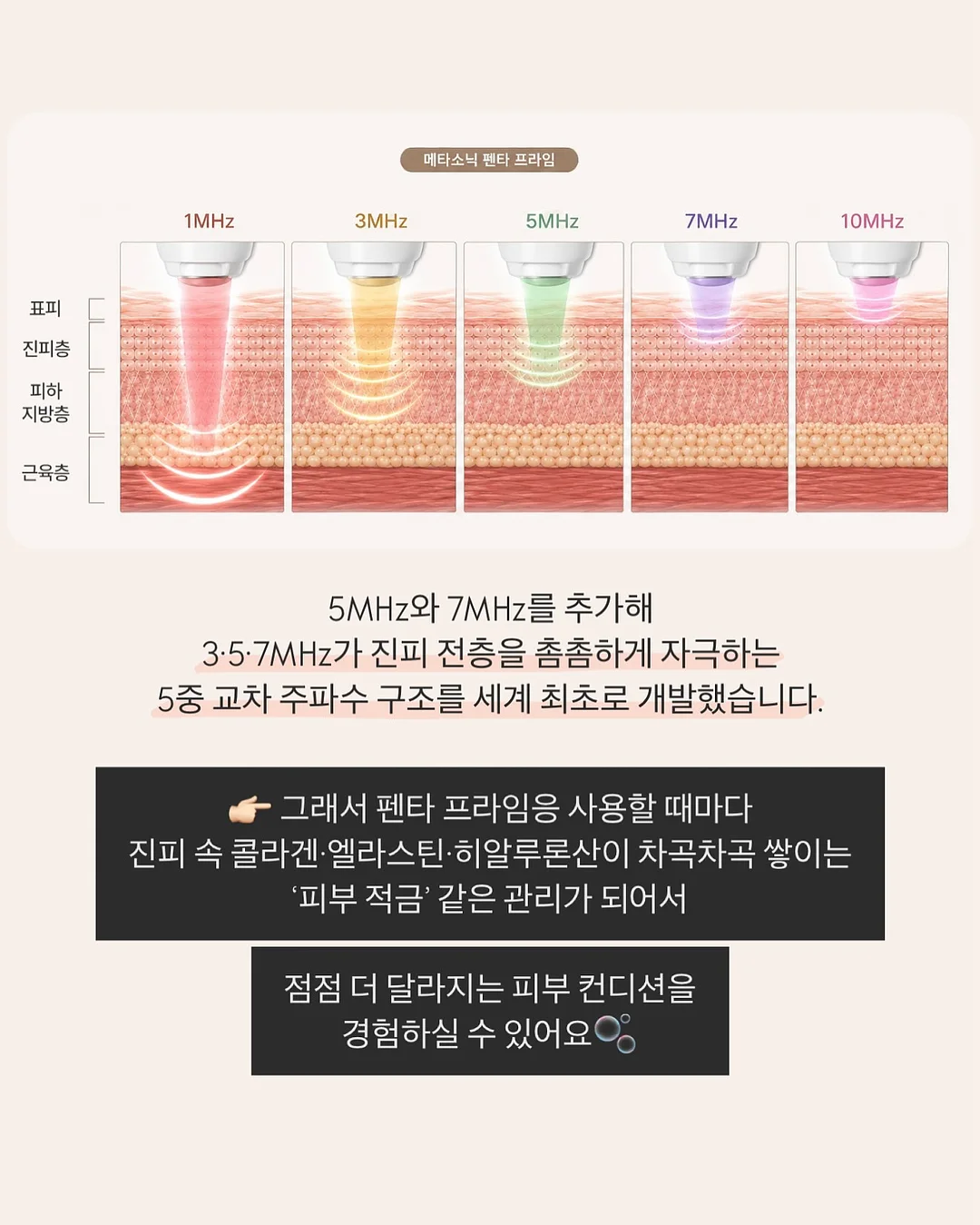 목련 파이 10