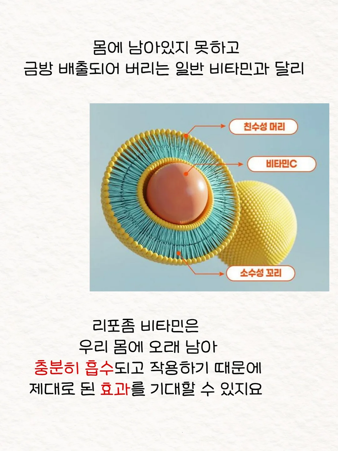 콕콕콕 사운드북 4