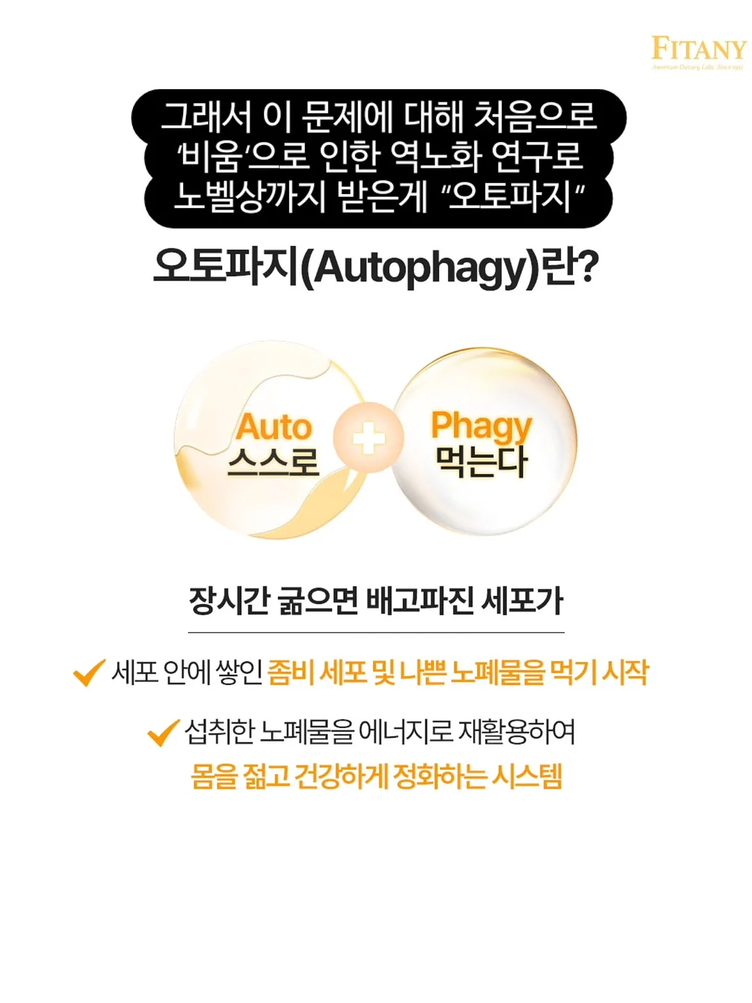 안탈라 오르샴푸 4