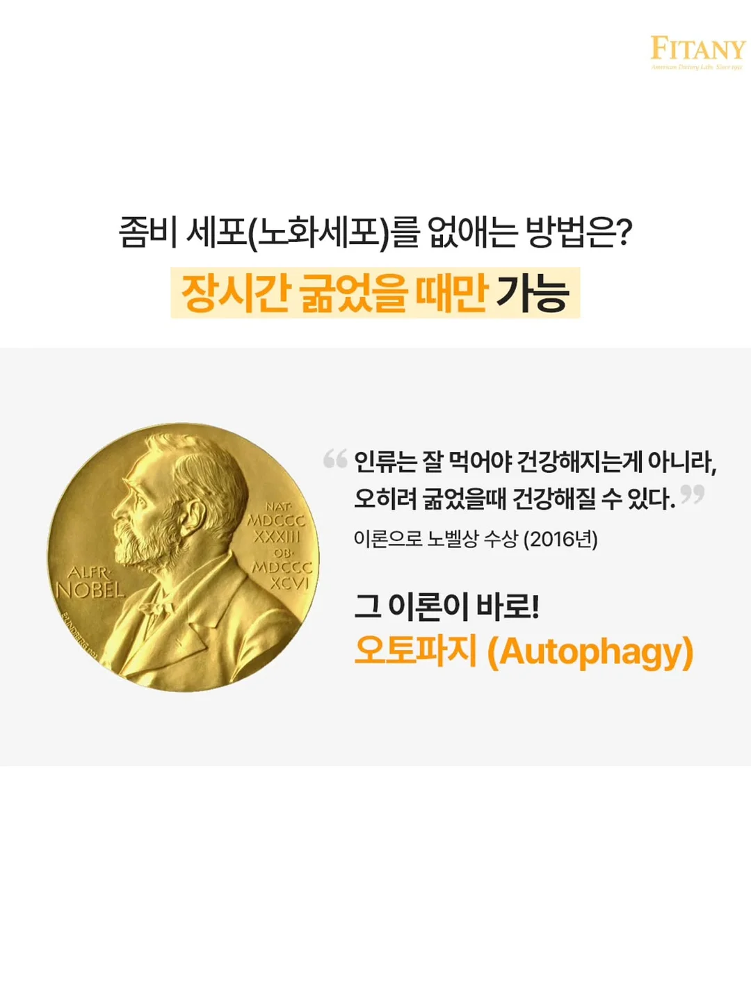 안탈라 오르샴푸 5