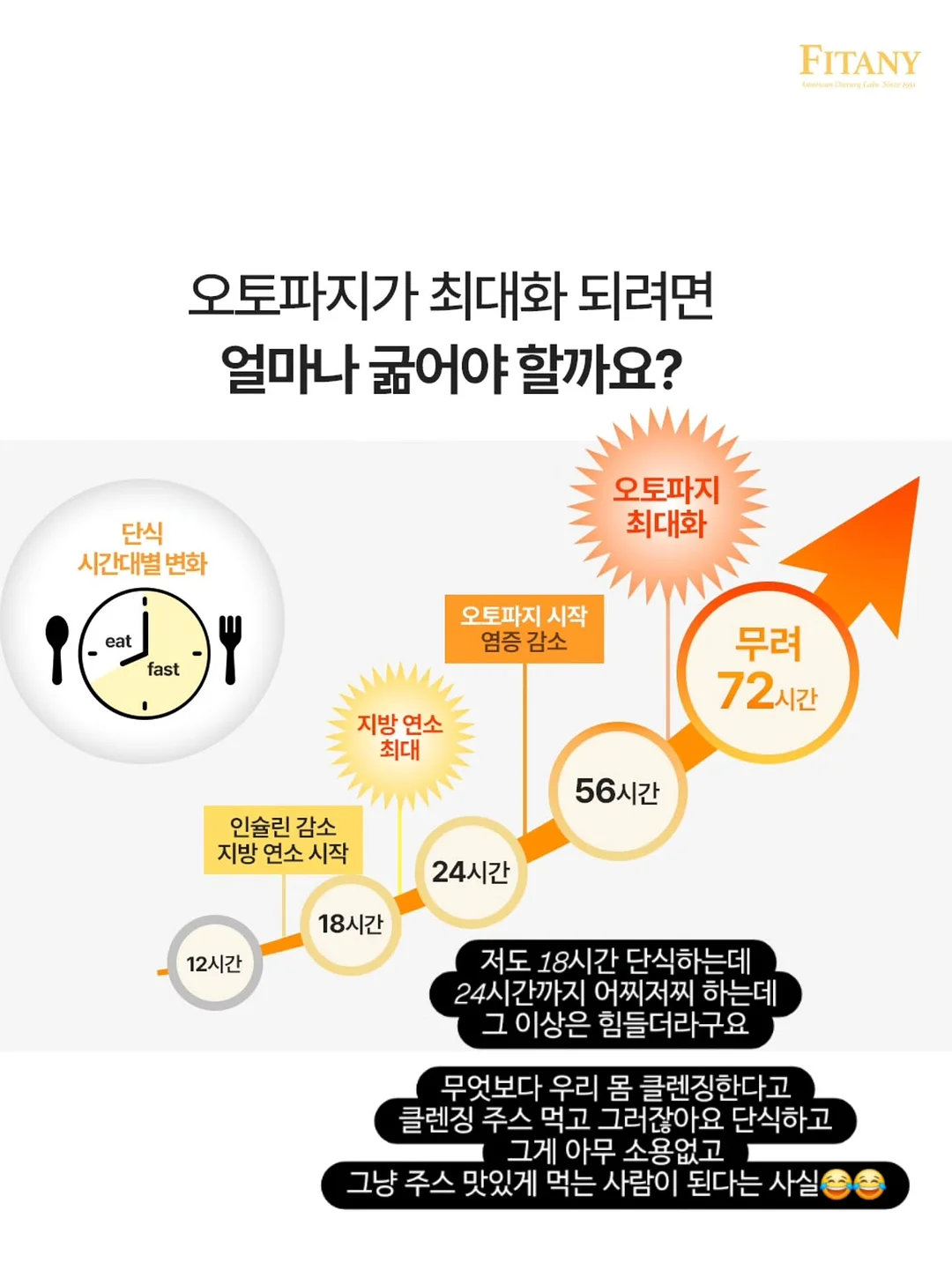 안탈라 오르샴푸 6