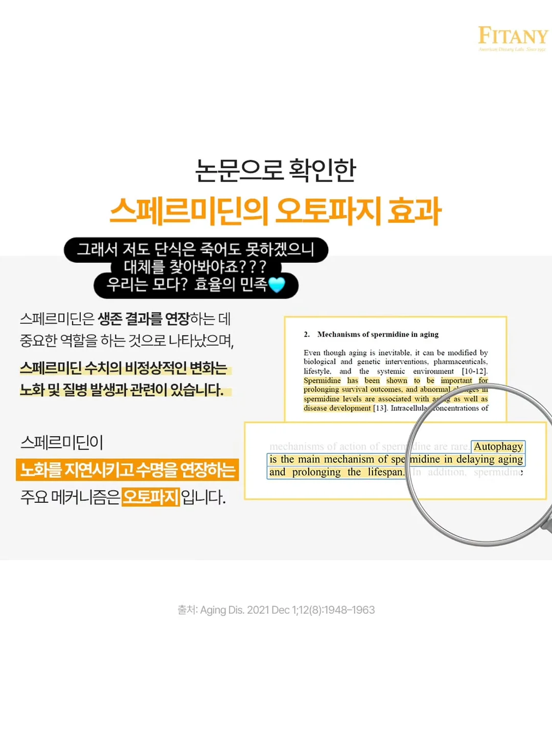 안탈라 오르샴푸 7