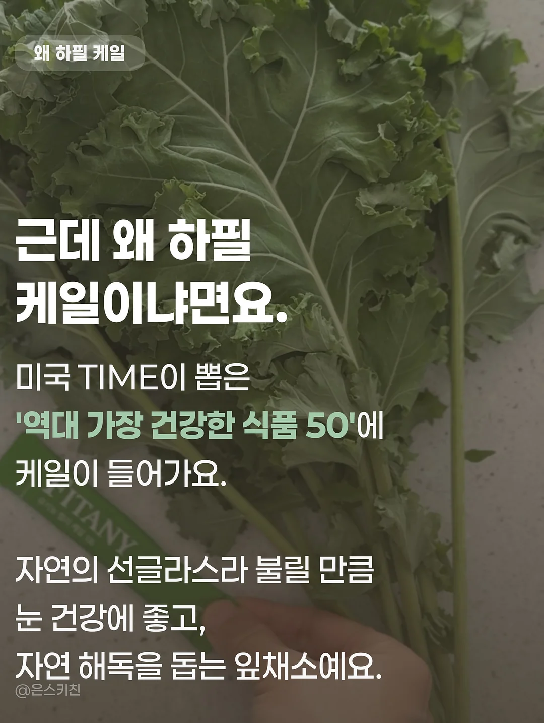 쇼펜하우어 인생수업 4