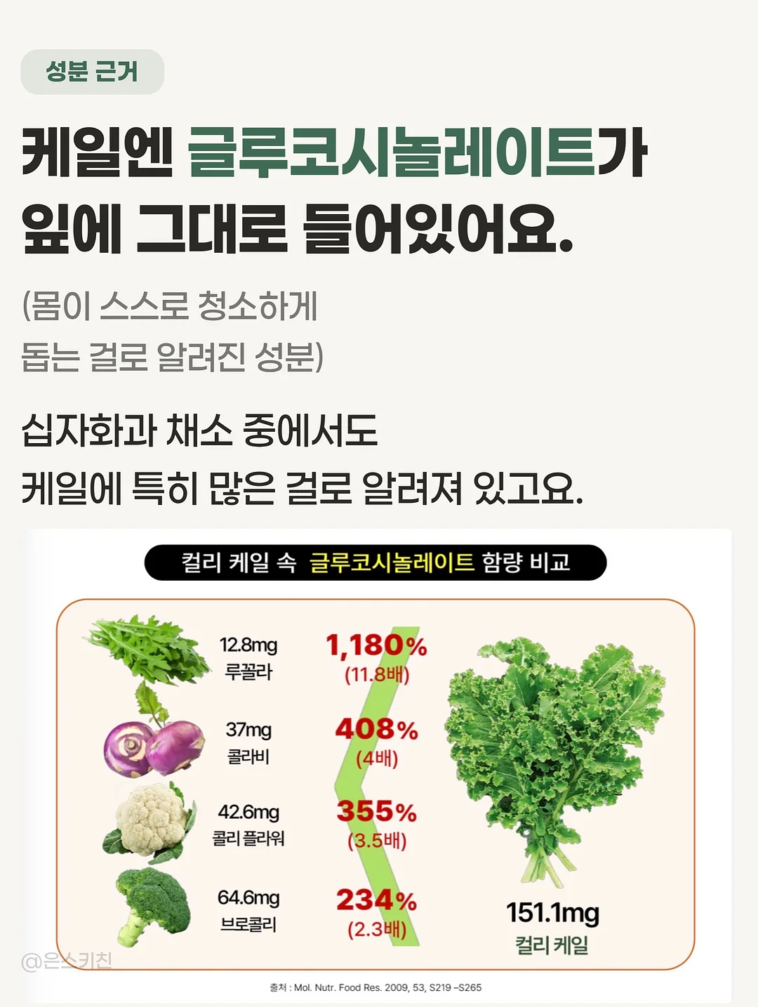 쇼펜하우어 인생수업 5