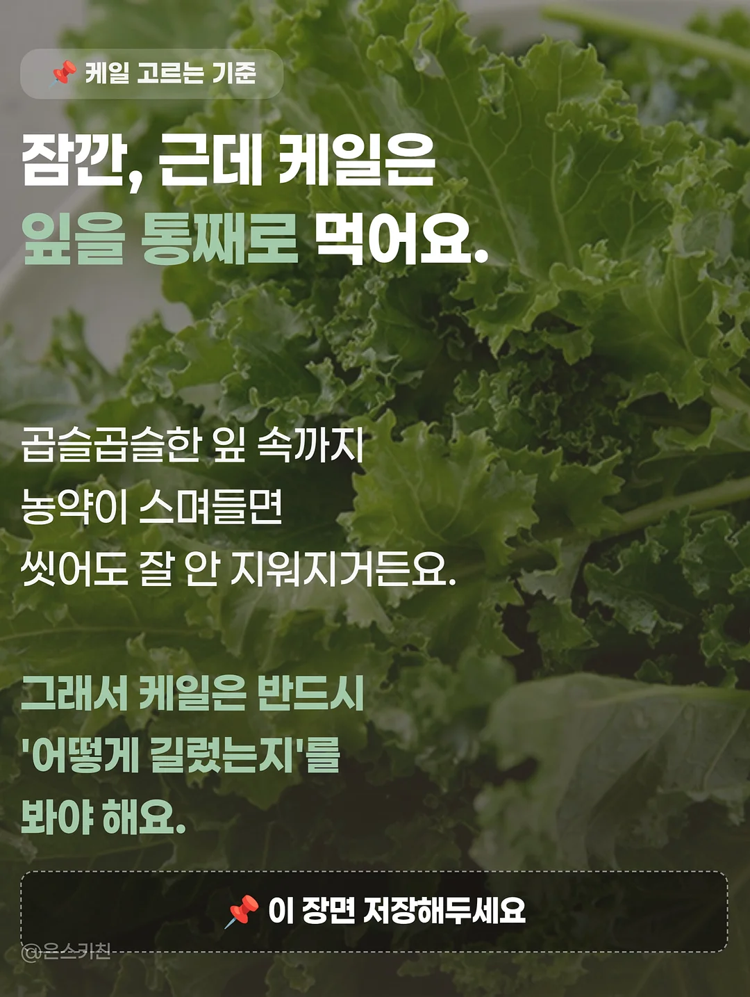 쇼펜하우어 인생수업 6