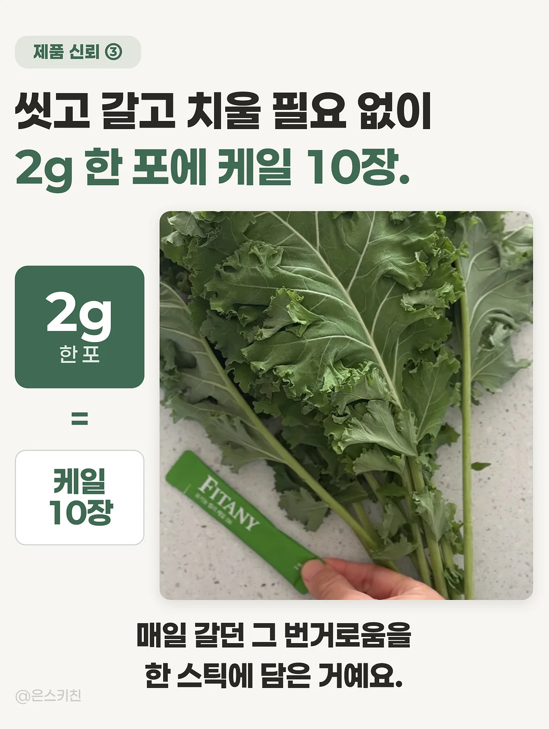 쇼펜하우어 인생수업 9