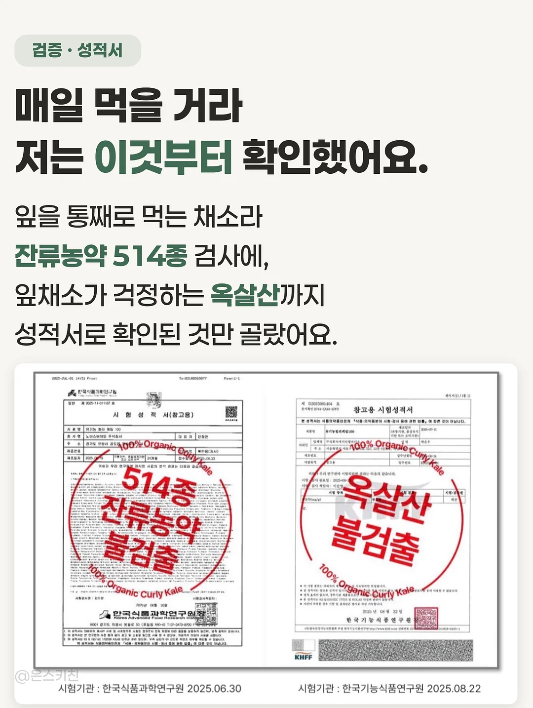 쇼펜하우어 인생수업 10