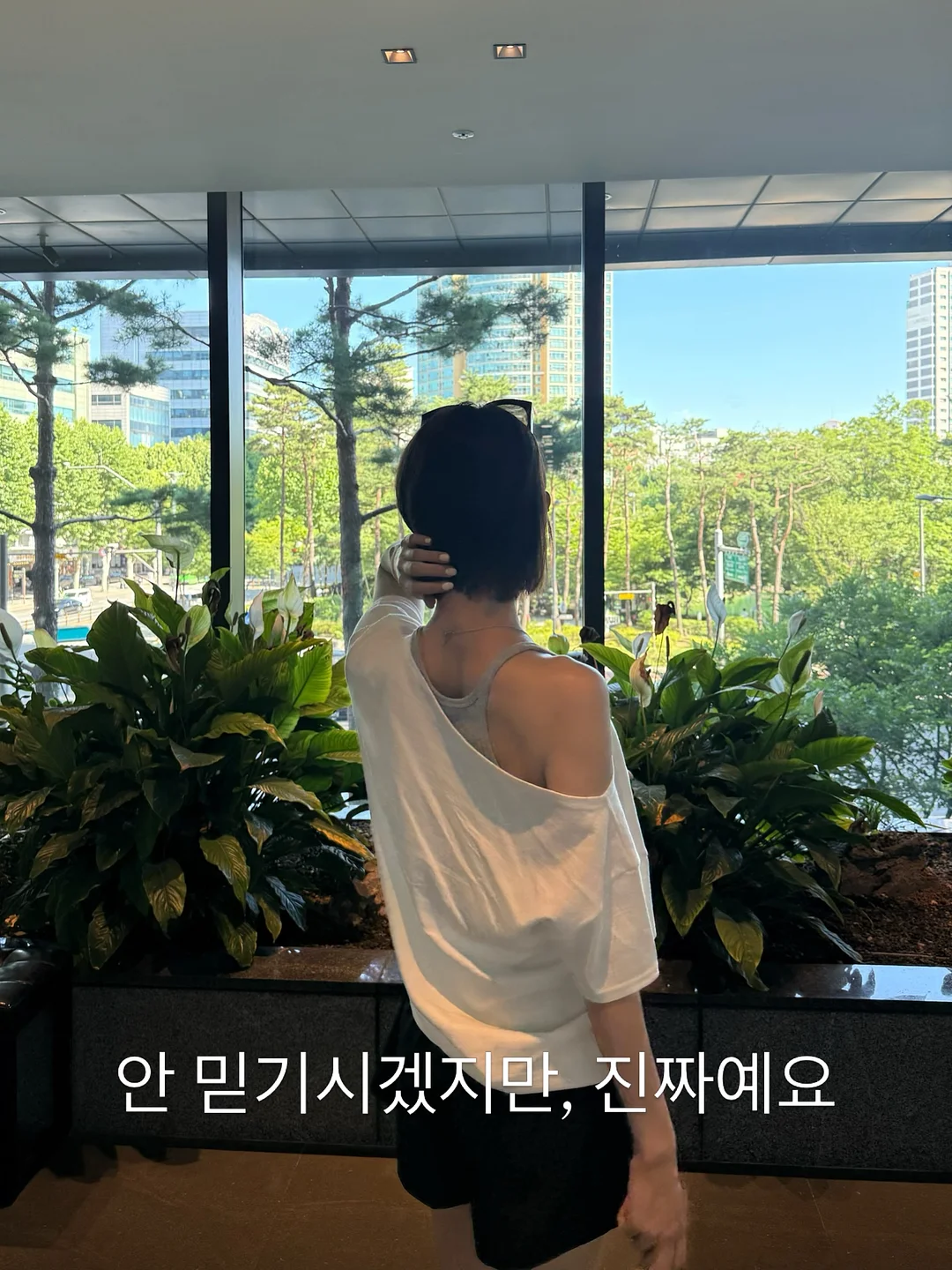 황금 엽전 금부기 1