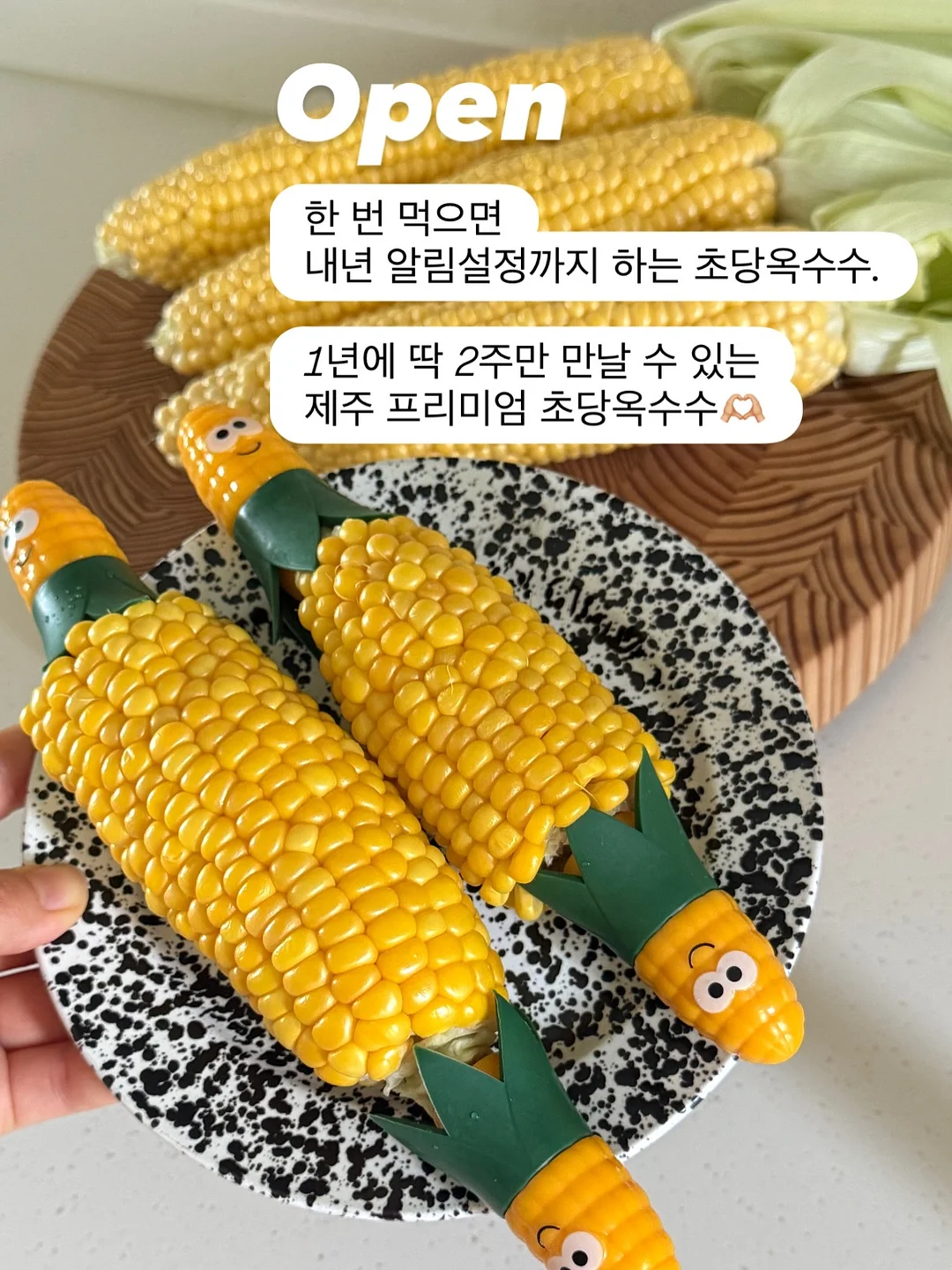 맥스컷 다이글로메라 1