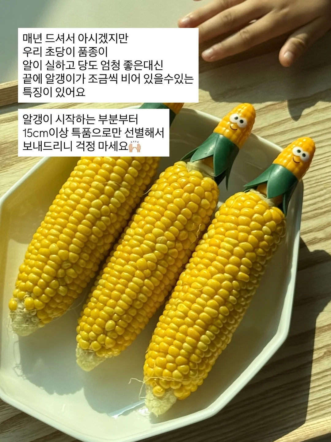 맥스컷 다이글로메라 13