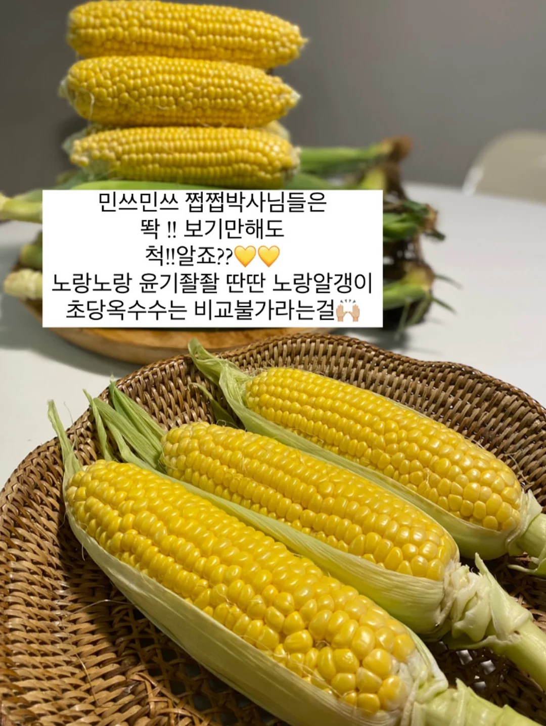 맥스컷 다이글로메라 7