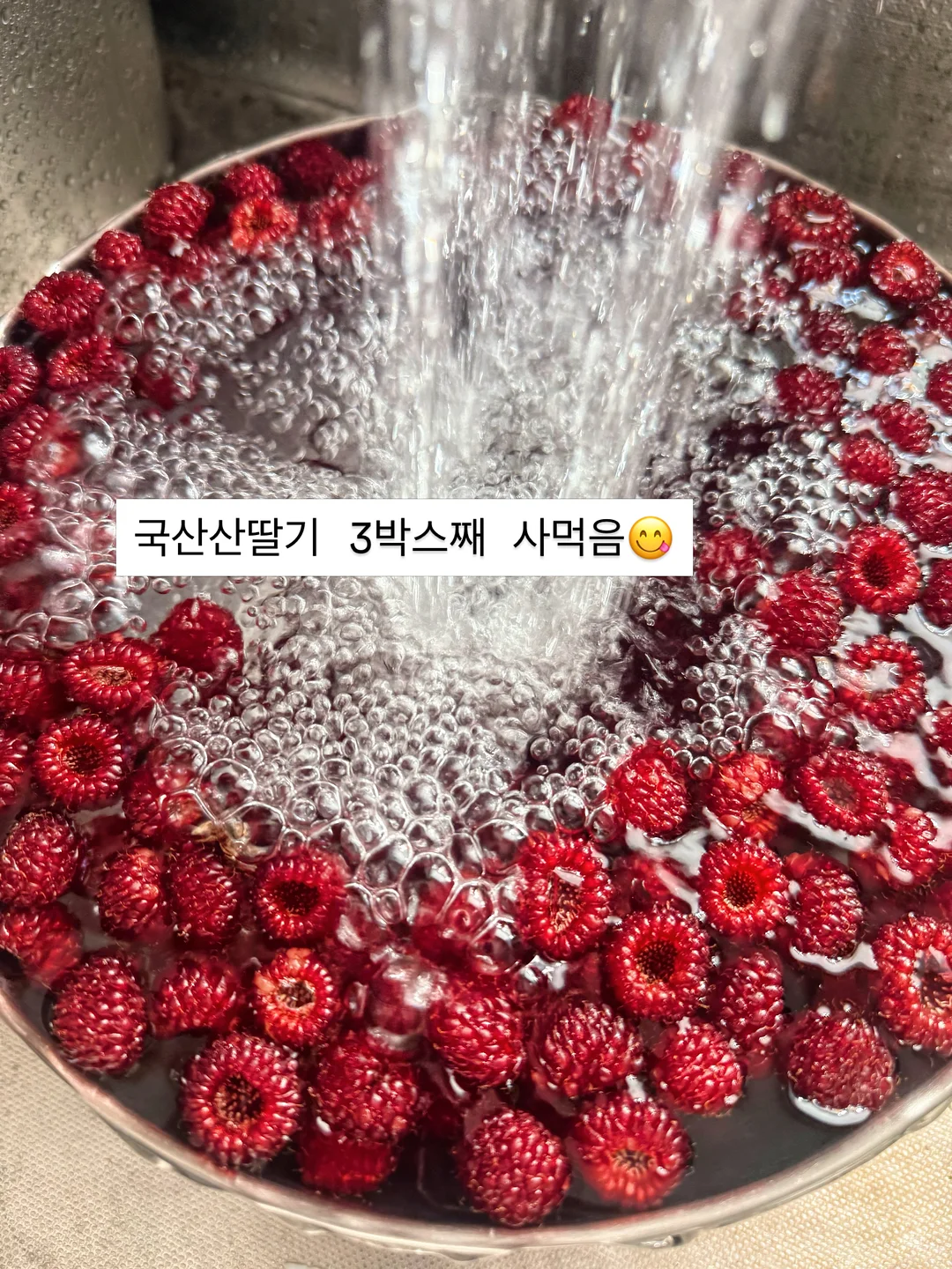 SAGEGA 레이어링 세트 2