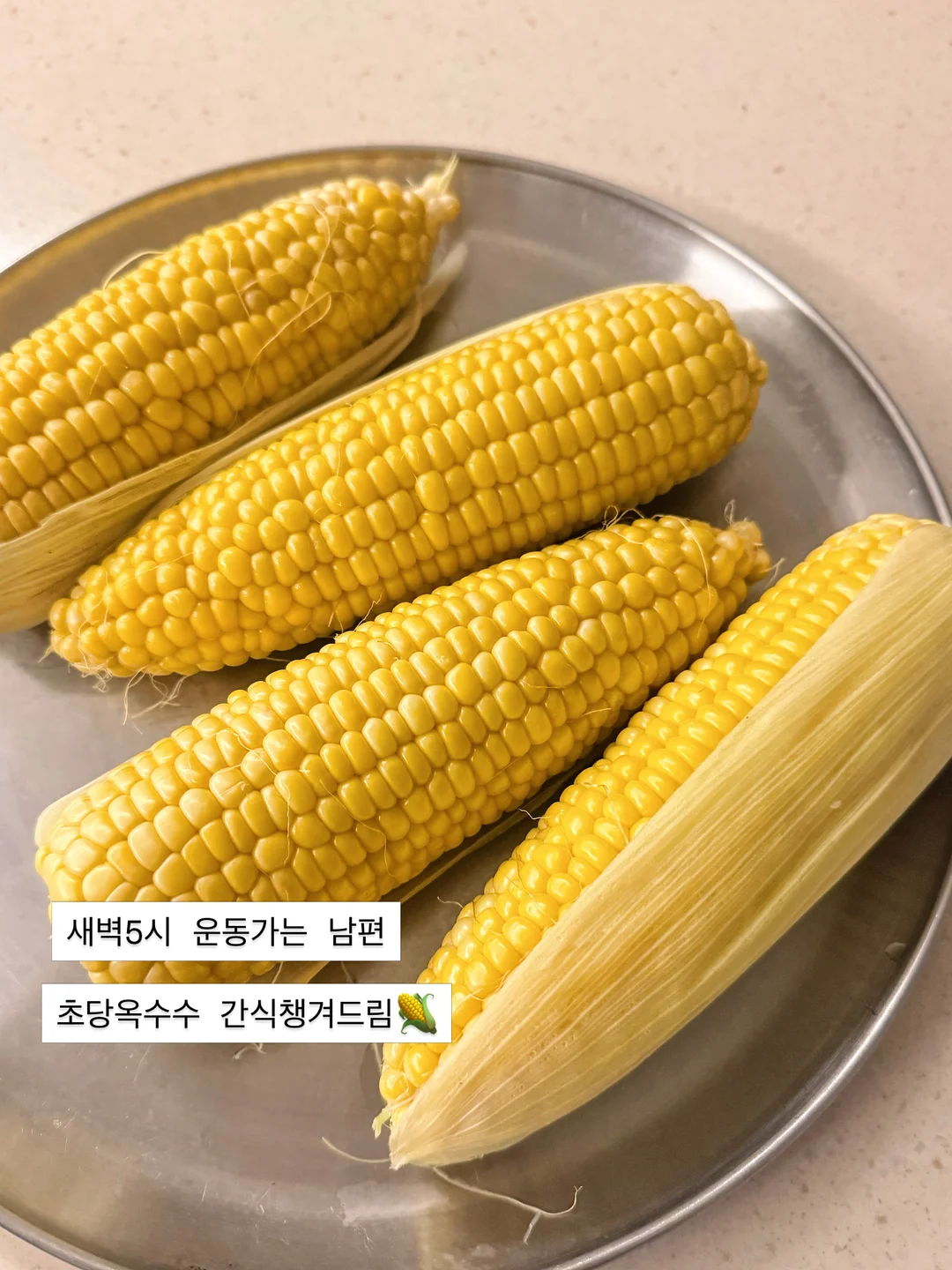 SAGEGA 레이어링 세트 6