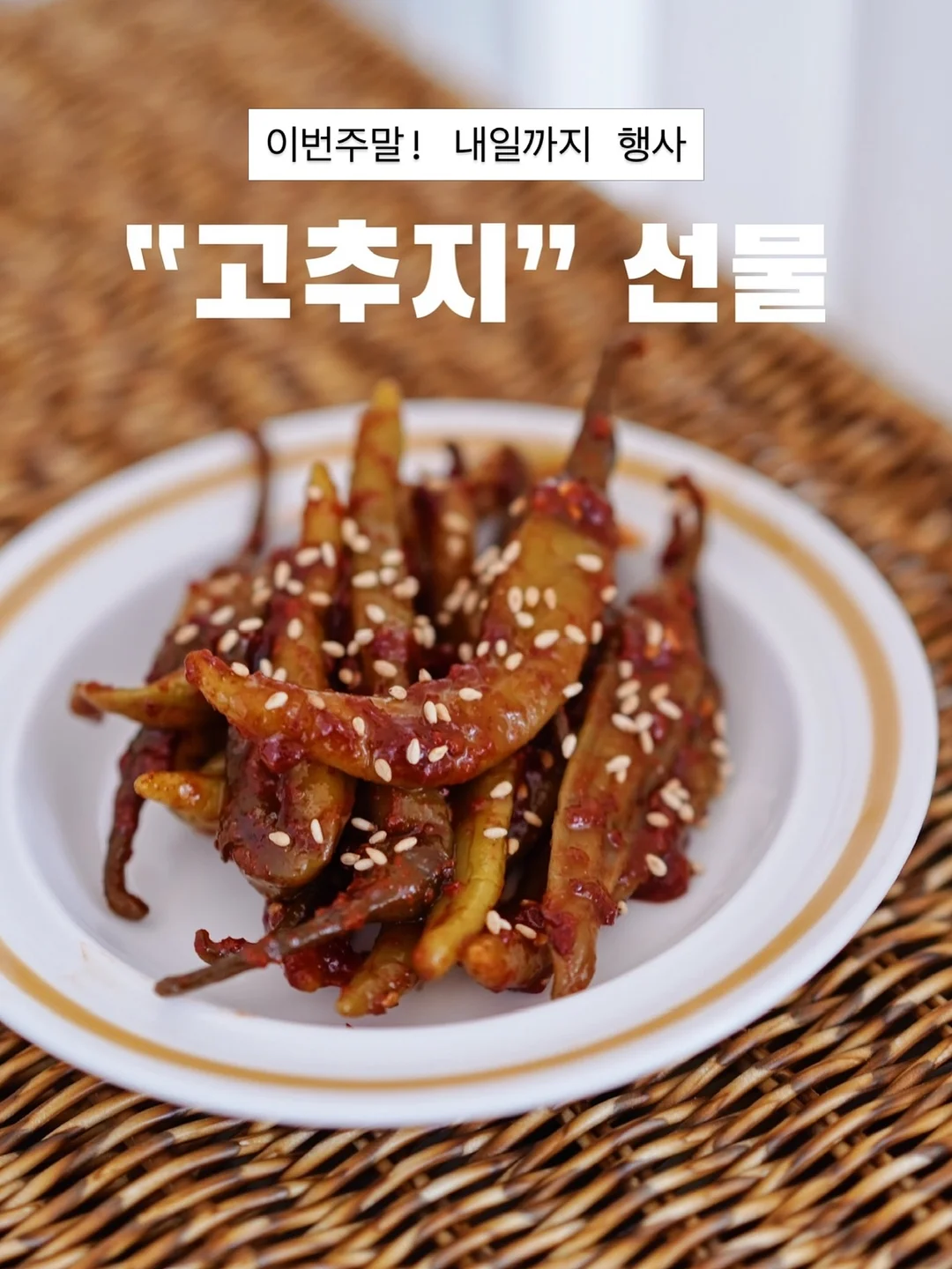 SAGEGA 레이어링 세트 9