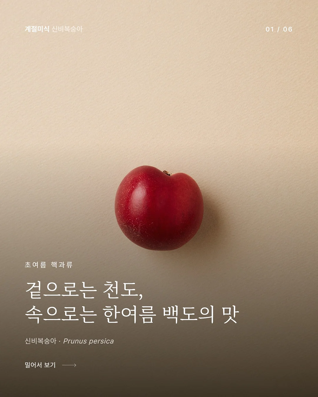 레몬 커플 잠옷 1